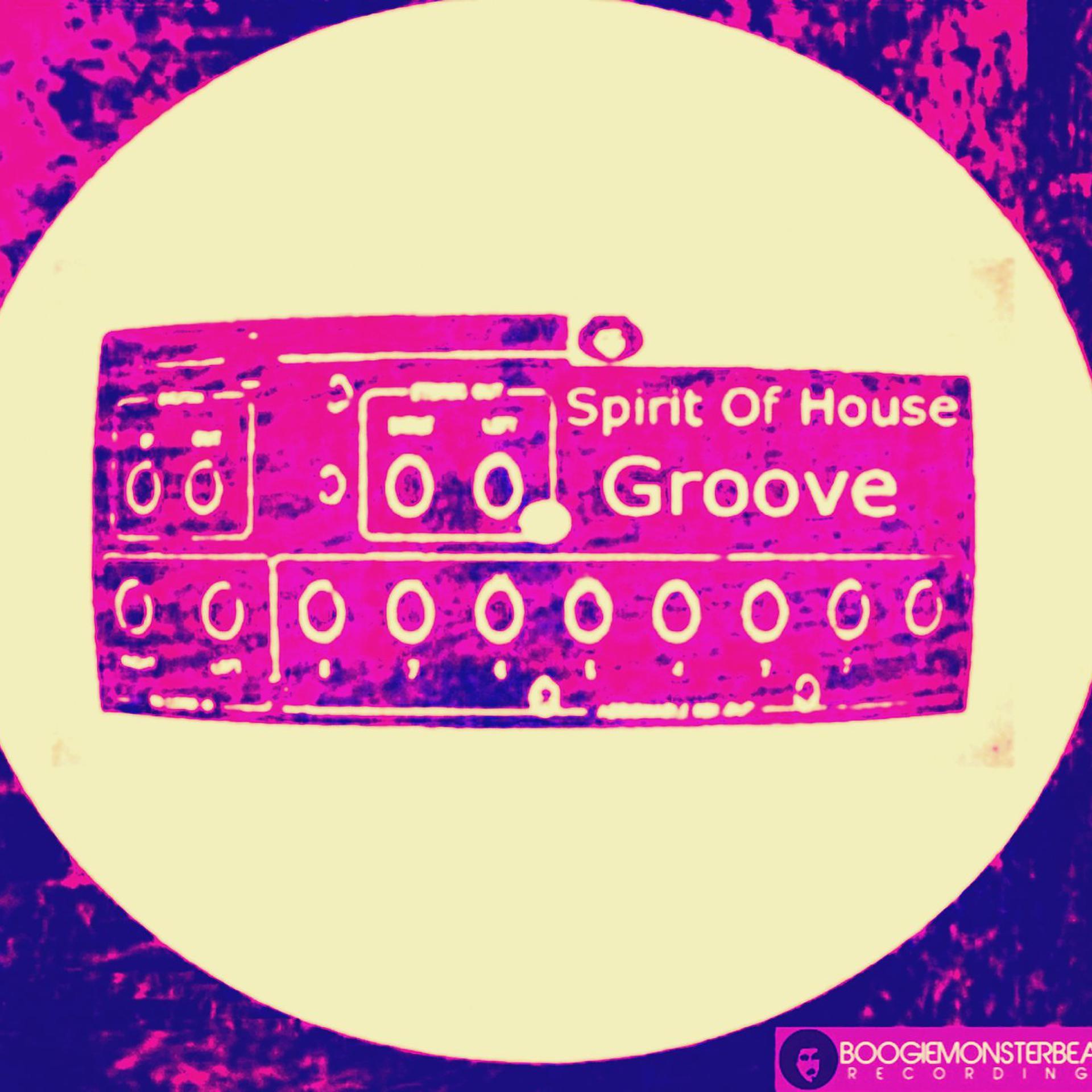 Постер альбома Spirit Of House Groove