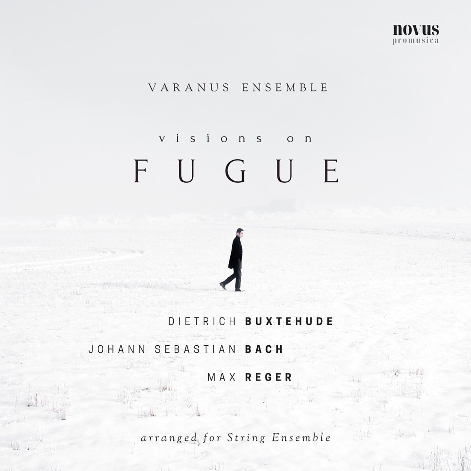 Постер альбома Visions on Fugue: Buxtehude, Bach and Reger Arranged for String Ensemble