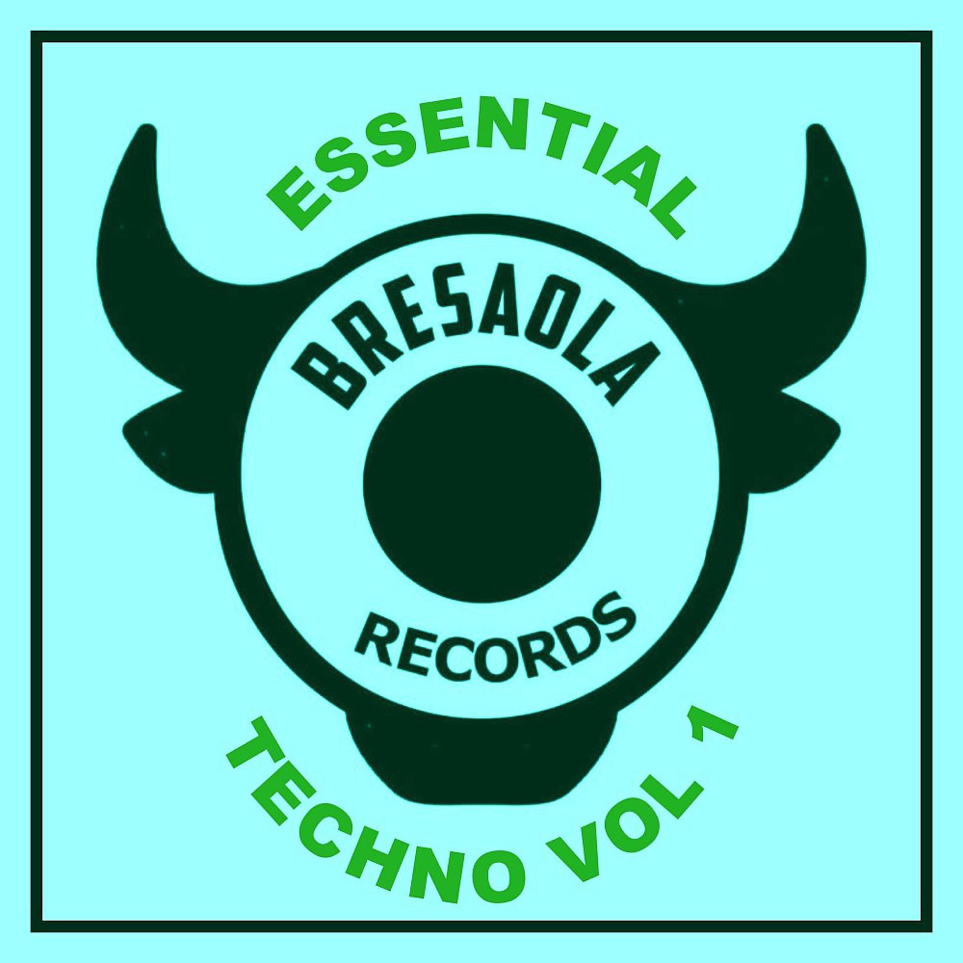 Постер альбома Essential Techno, Vol. 1