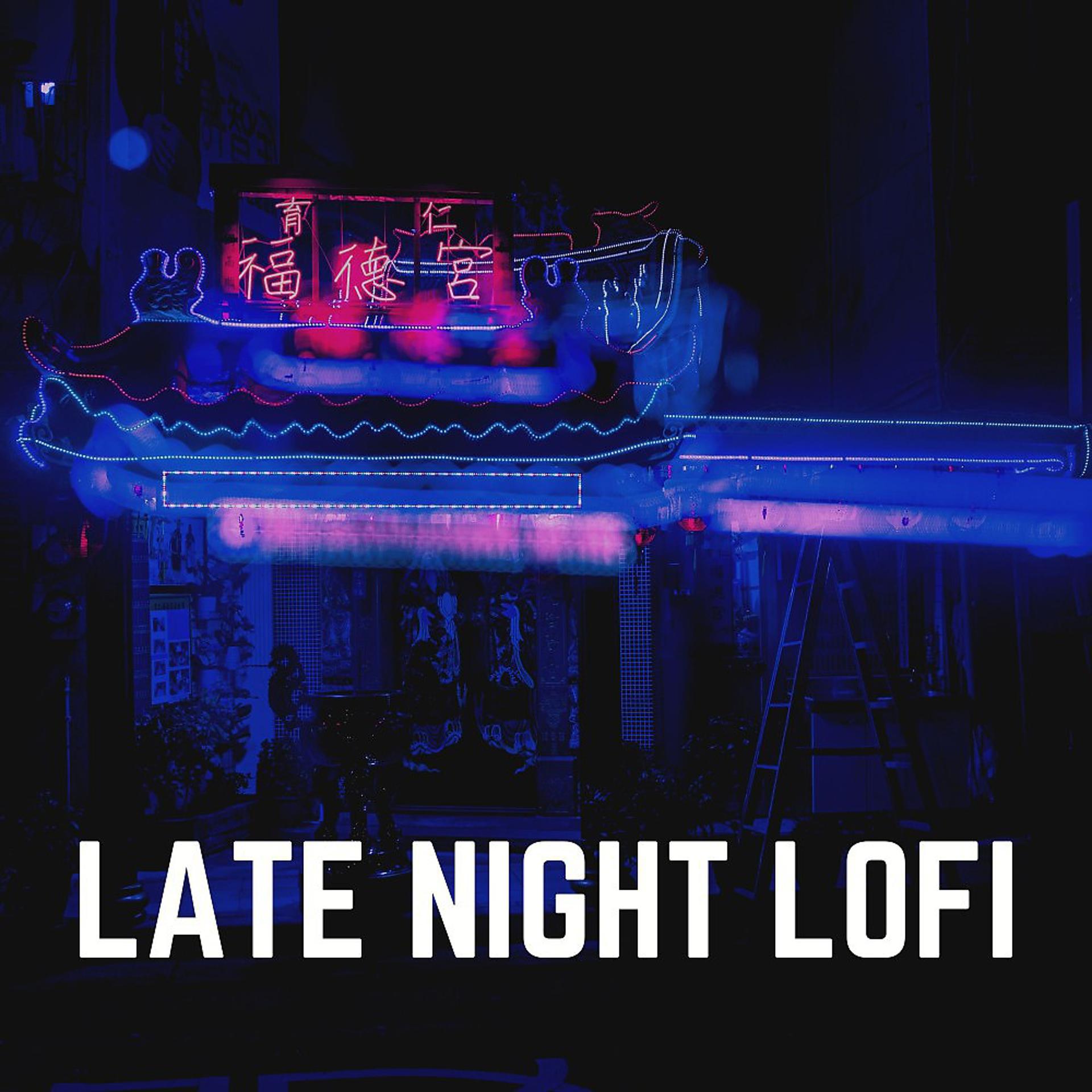 Постер альбома Late Night Lofi