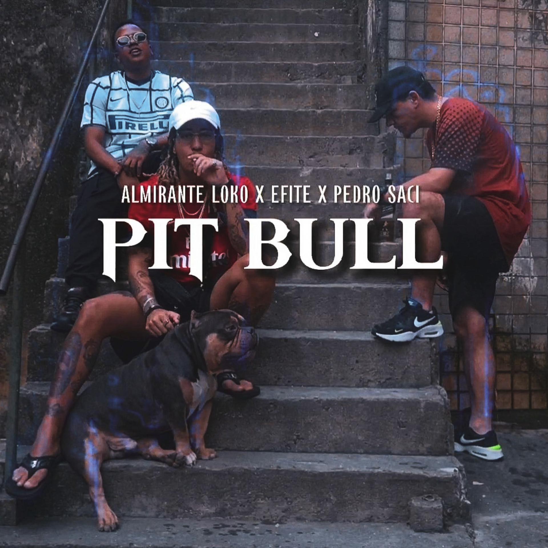 Постер альбома Pit Bull