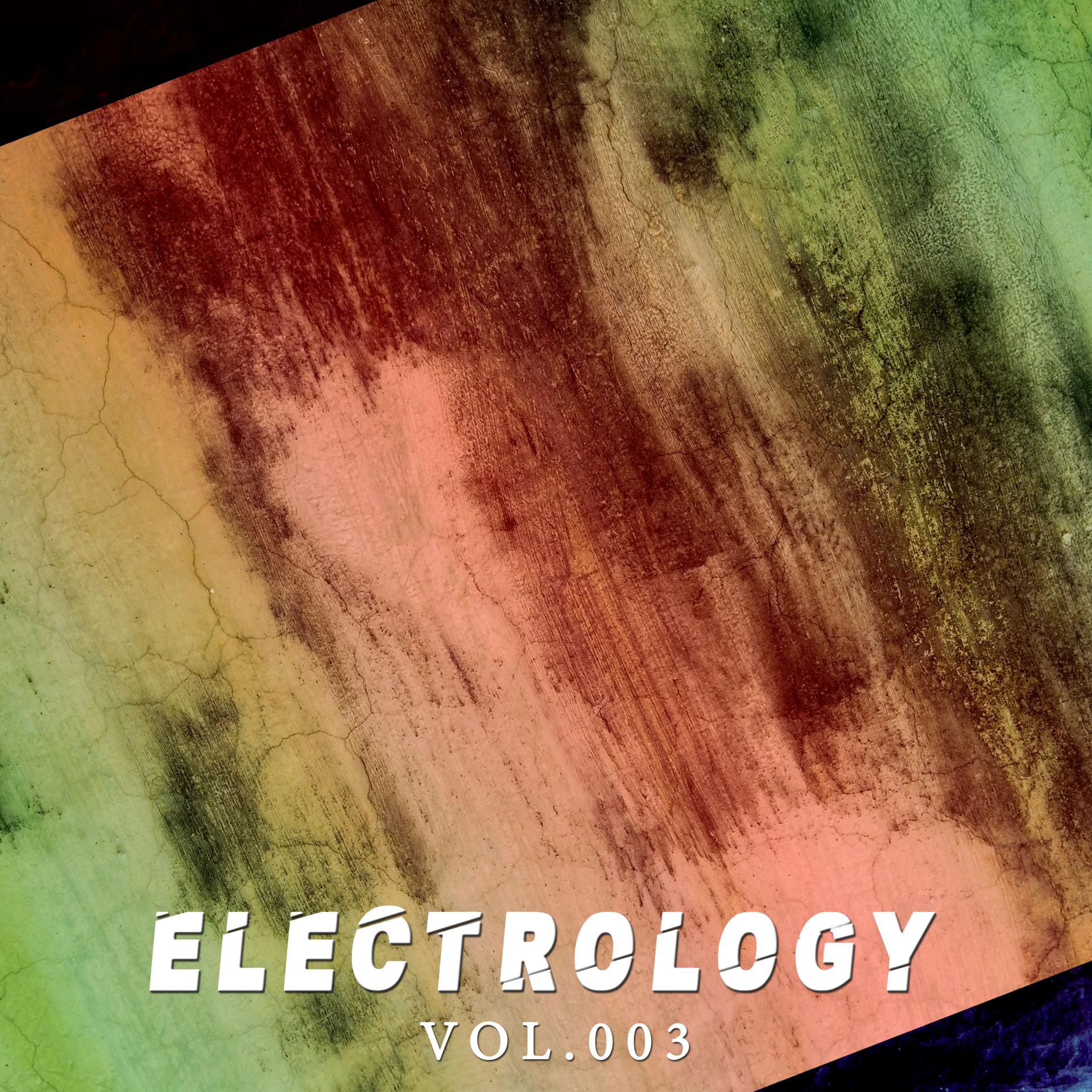 Постер альбома Electrology, Vol. 003
