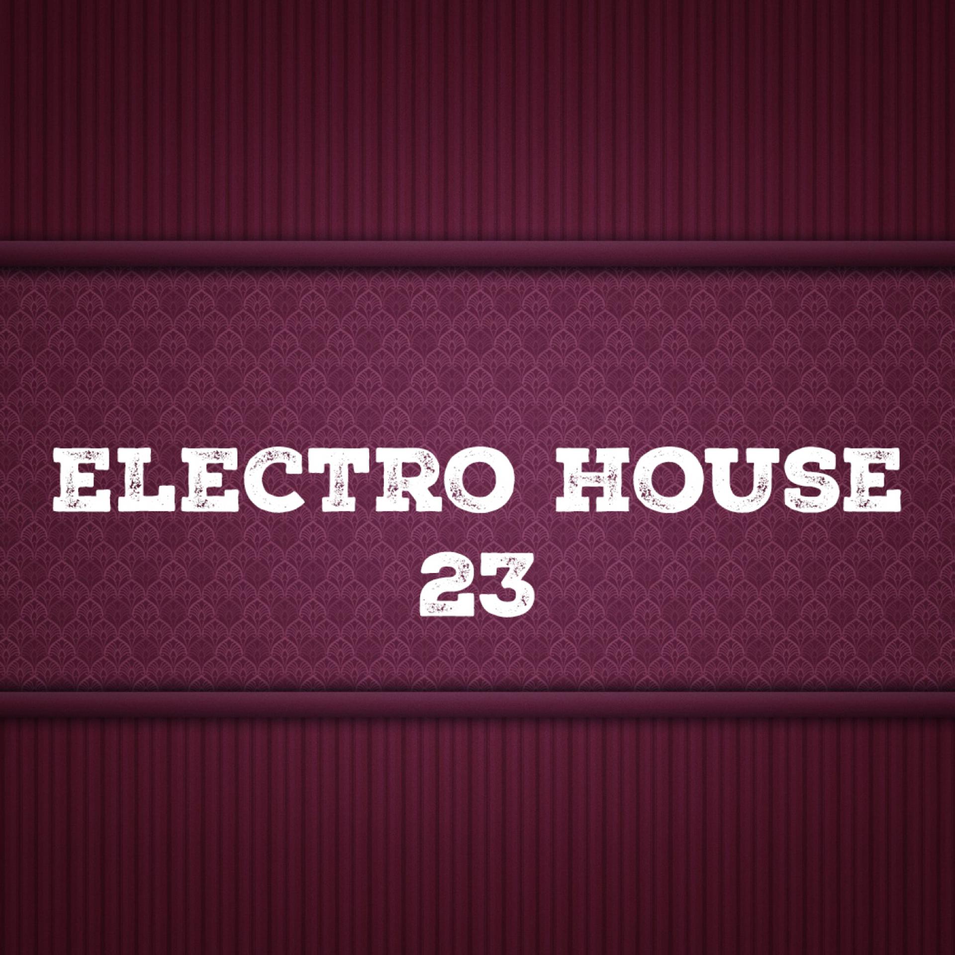 Постер альбома Electro House, Vol. 23