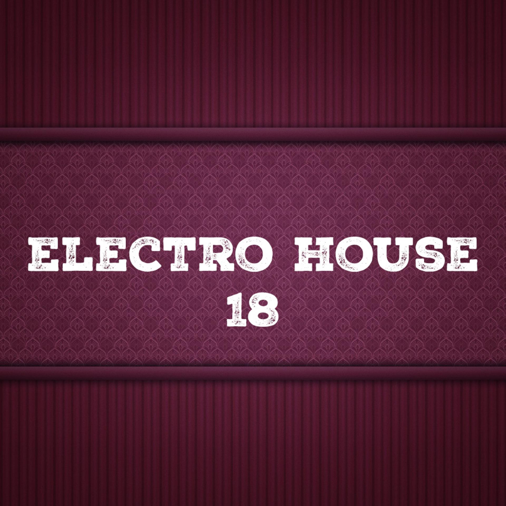 Постер альбома Electro House, Vol. 18