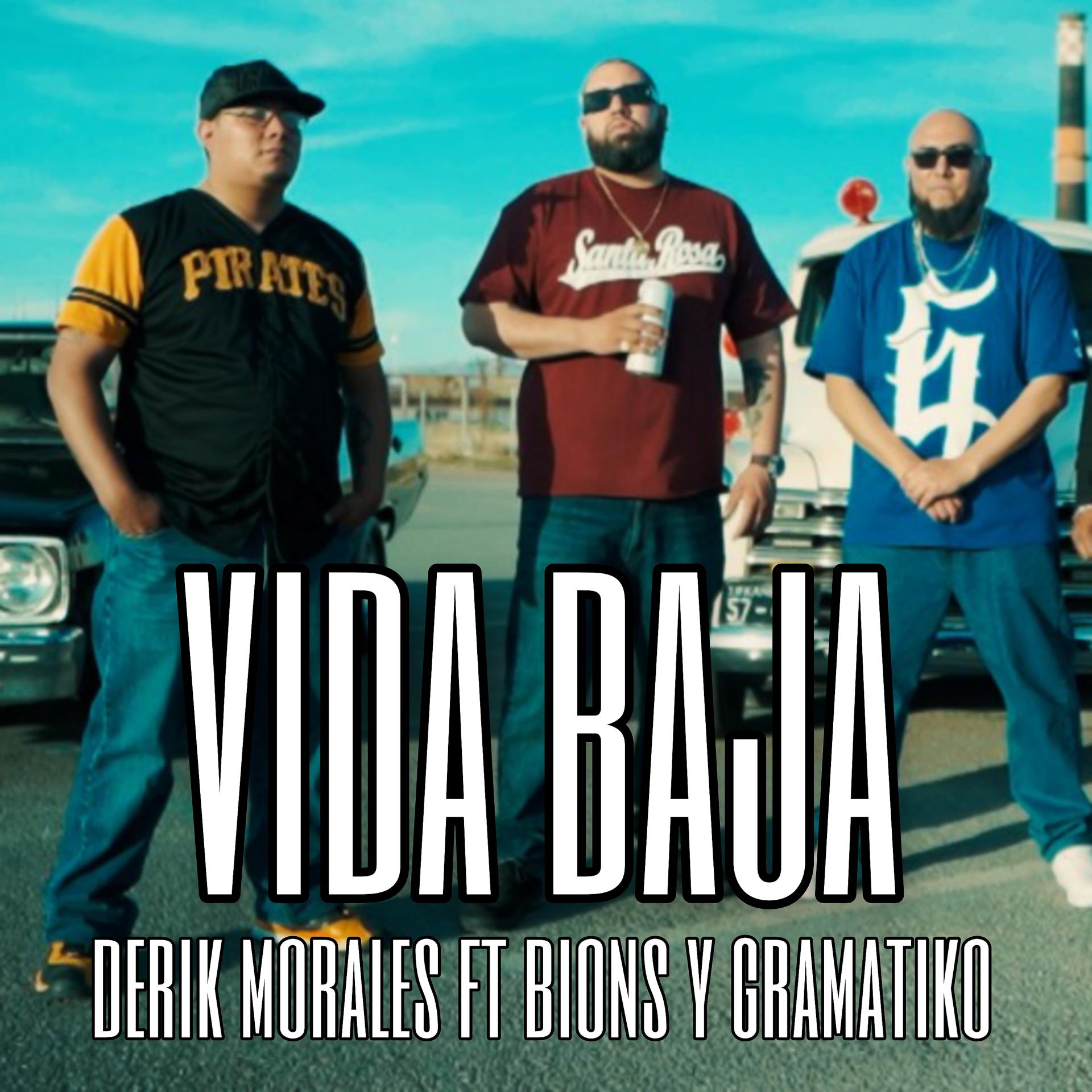 Постер альбома Vida Baja