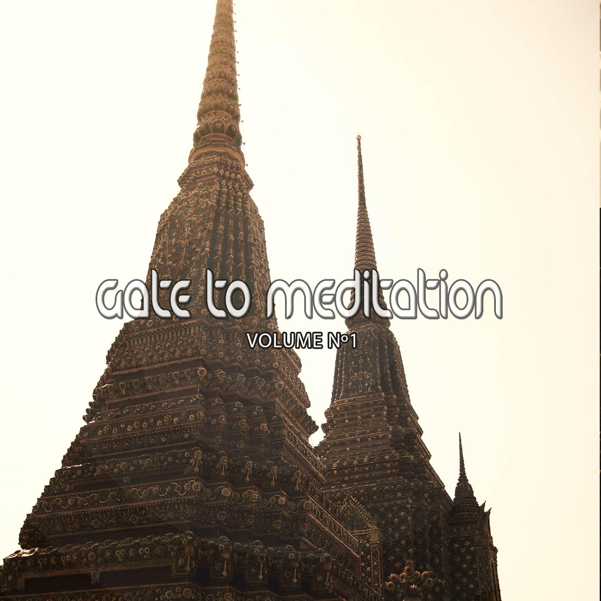 Постер альбома Gate to Meditation, Vol. 1