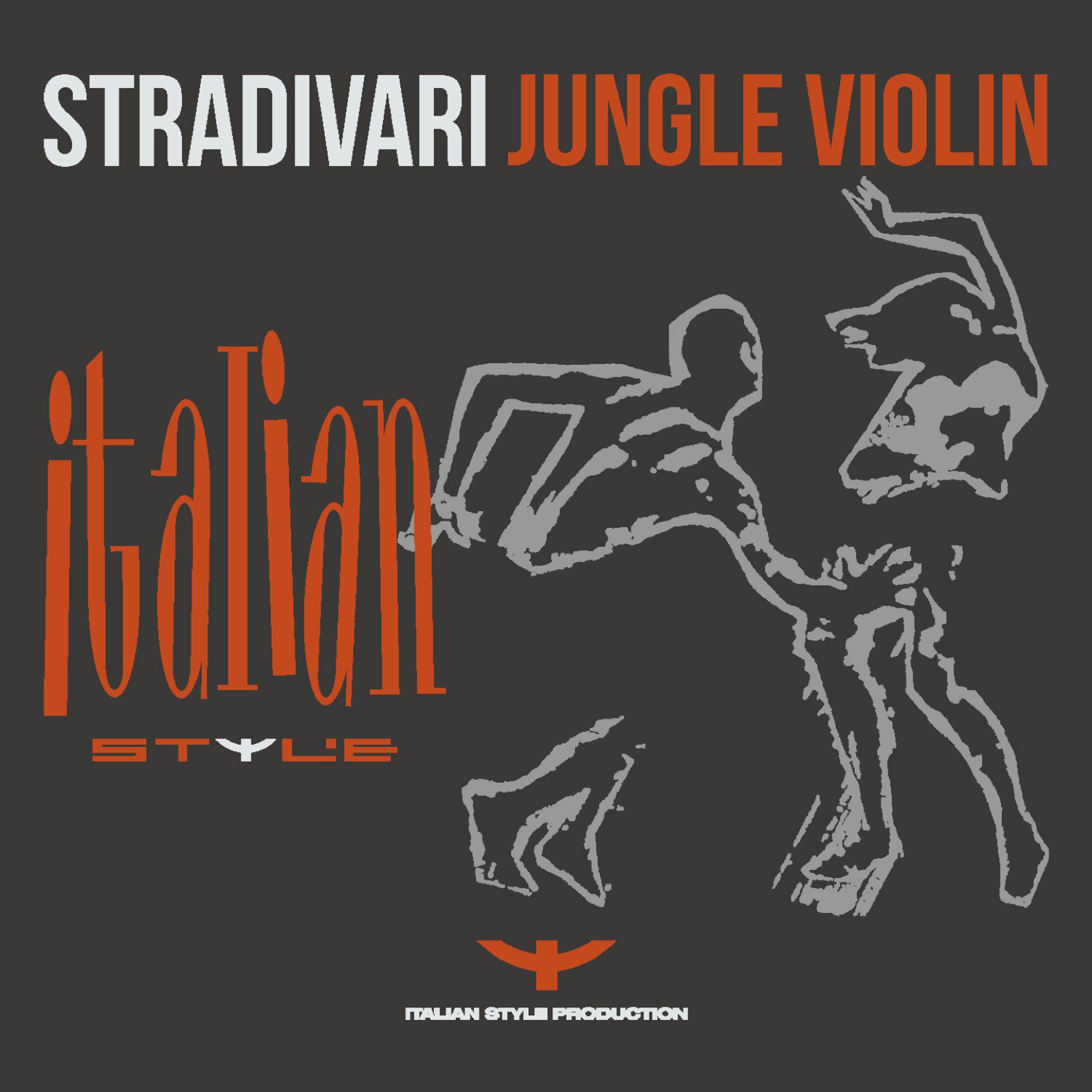 Постер альбома Jungle Violin