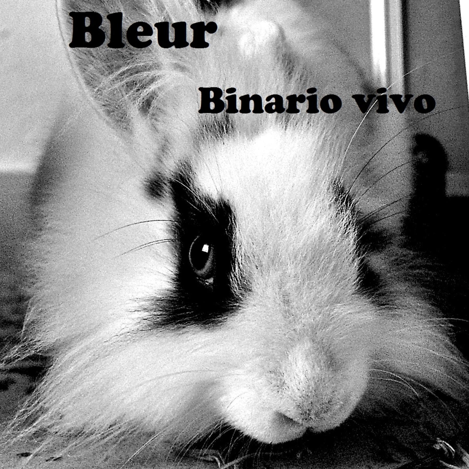 Постер альбома Binario vivo