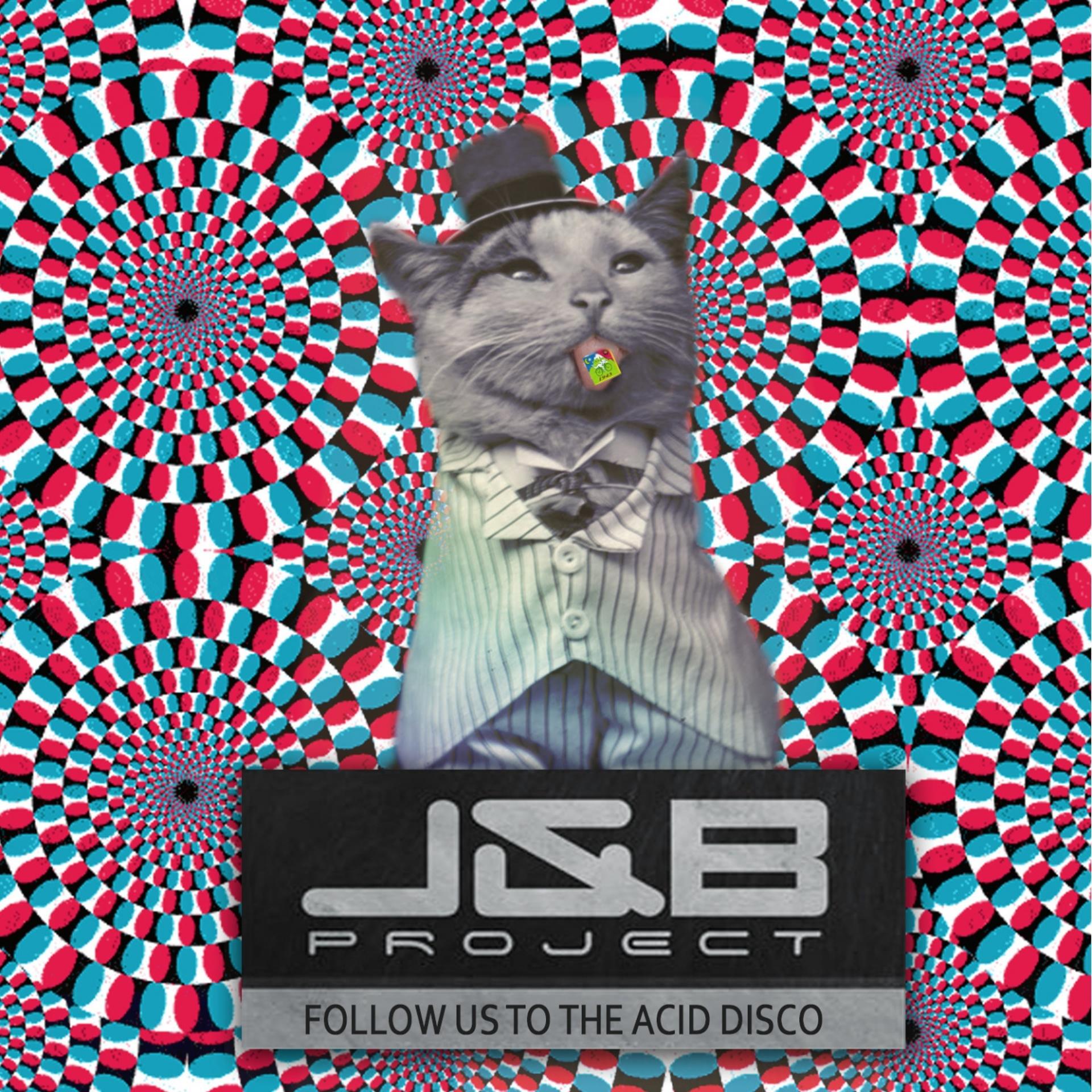 Постер альбома Follow Us to the Acid Disco