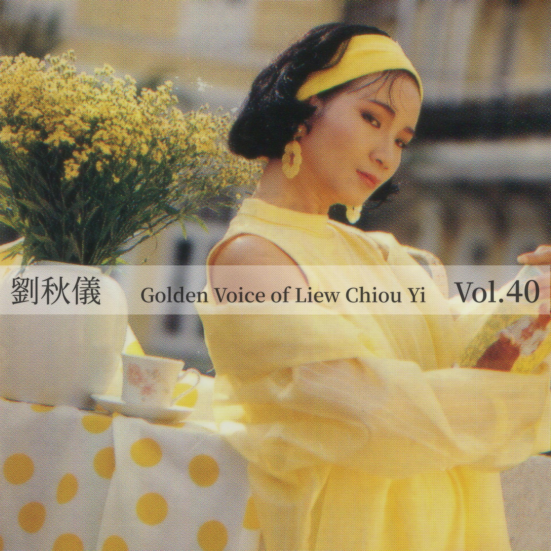 Постер альбома 劉秋儀，Vol. 40