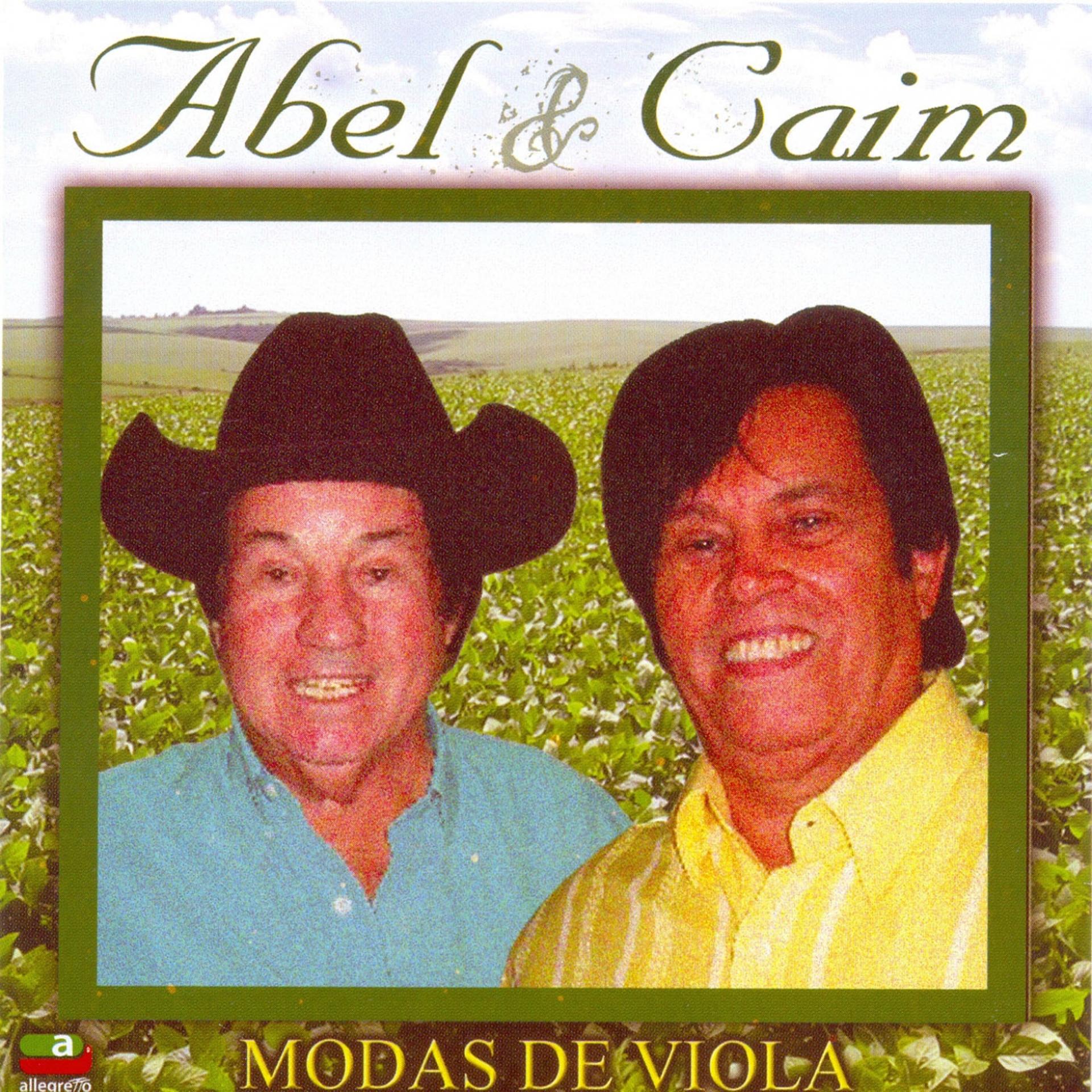 Постер альбома Modas de Viola