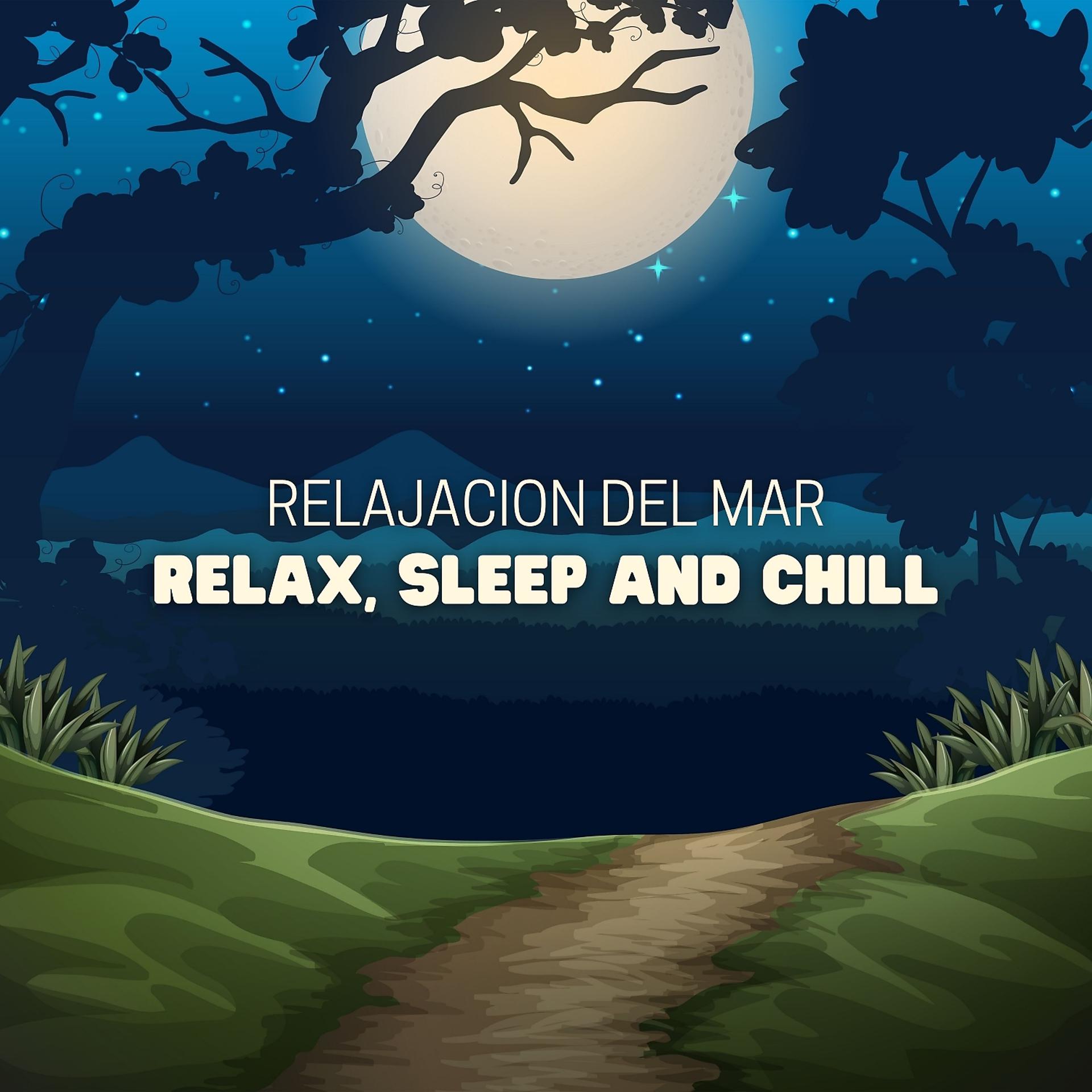 Постер альбома Relax, Sleep and Chill