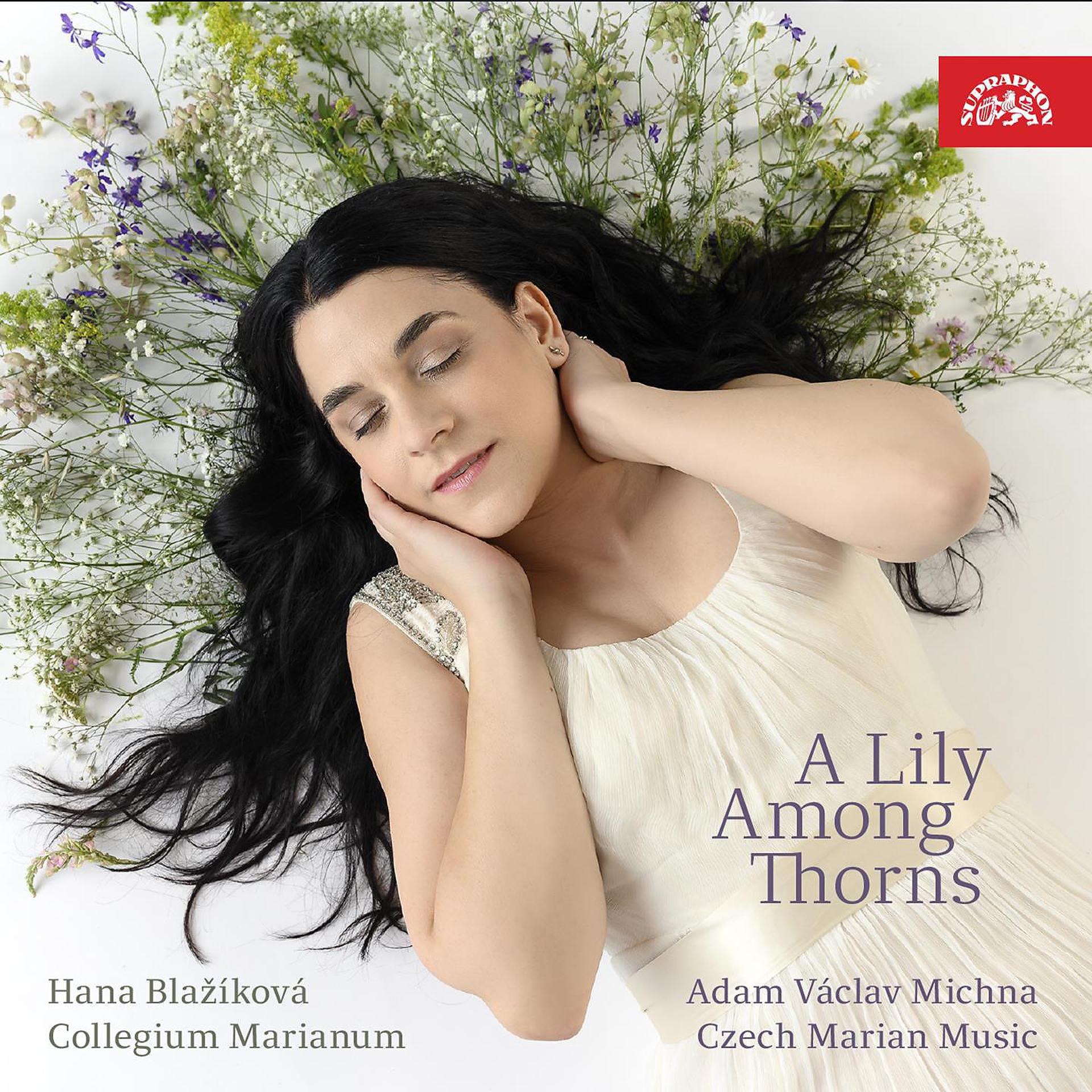 Постер альбома Michna: Czech Marian Music - Lilly Among Thorns