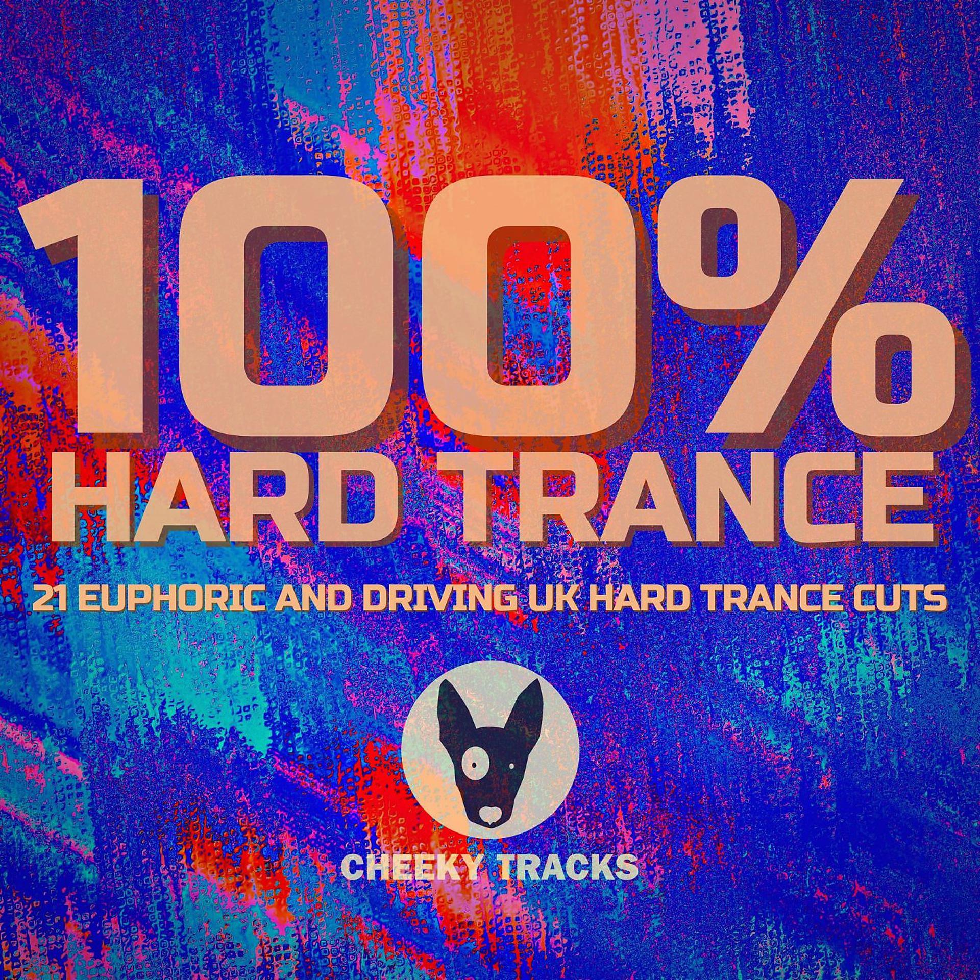Постер альбома 100% Hard Trance