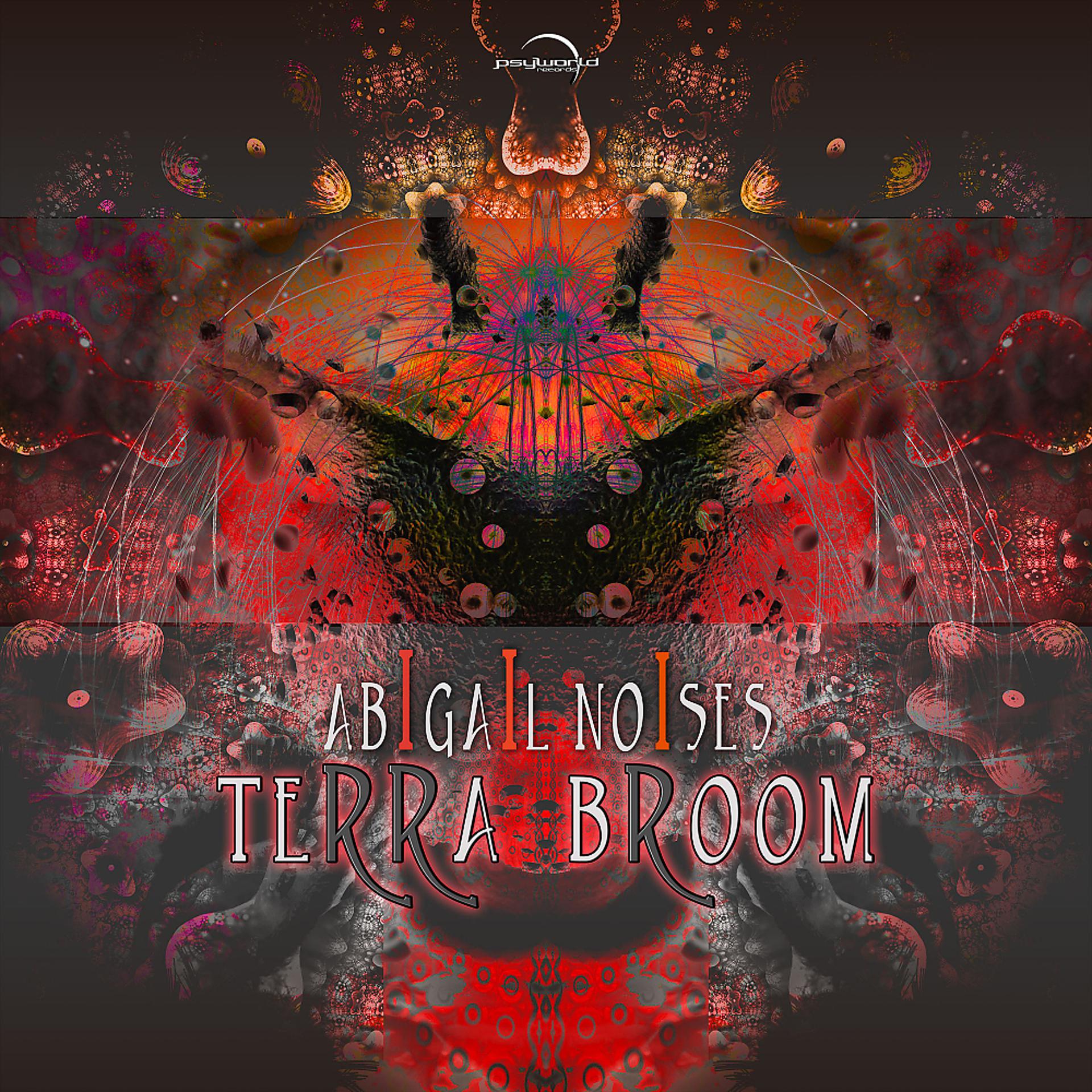 Постер альбома Terra Broom