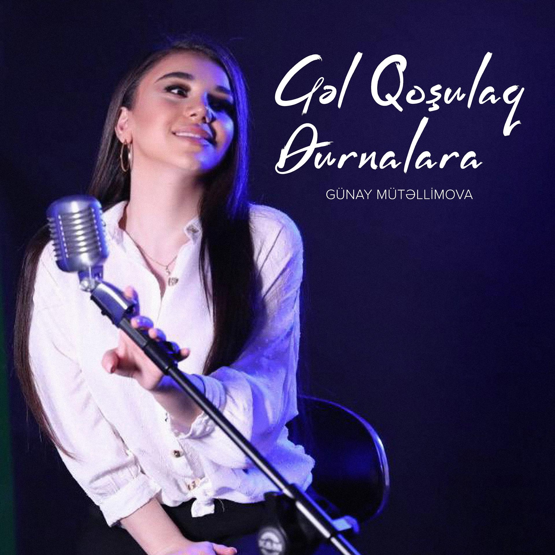 Постер альбома Gəl Qoşulaq Durnalara