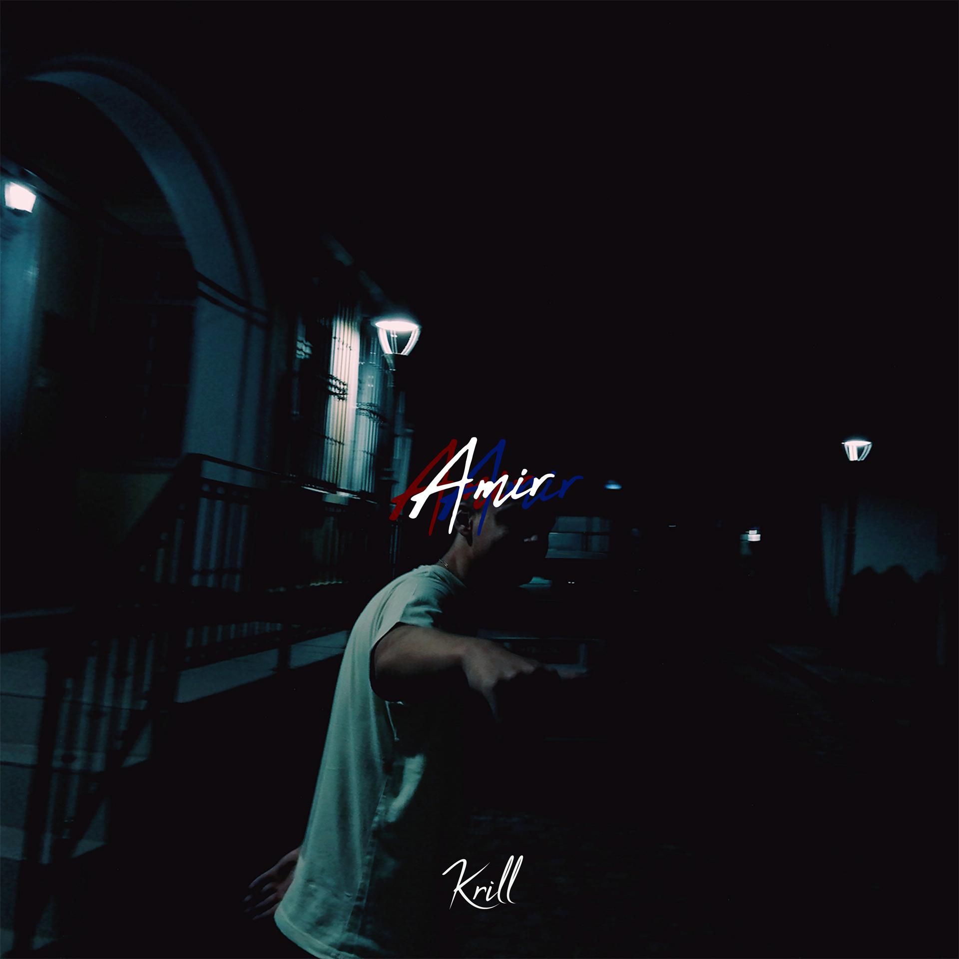 Постер альбома Amir