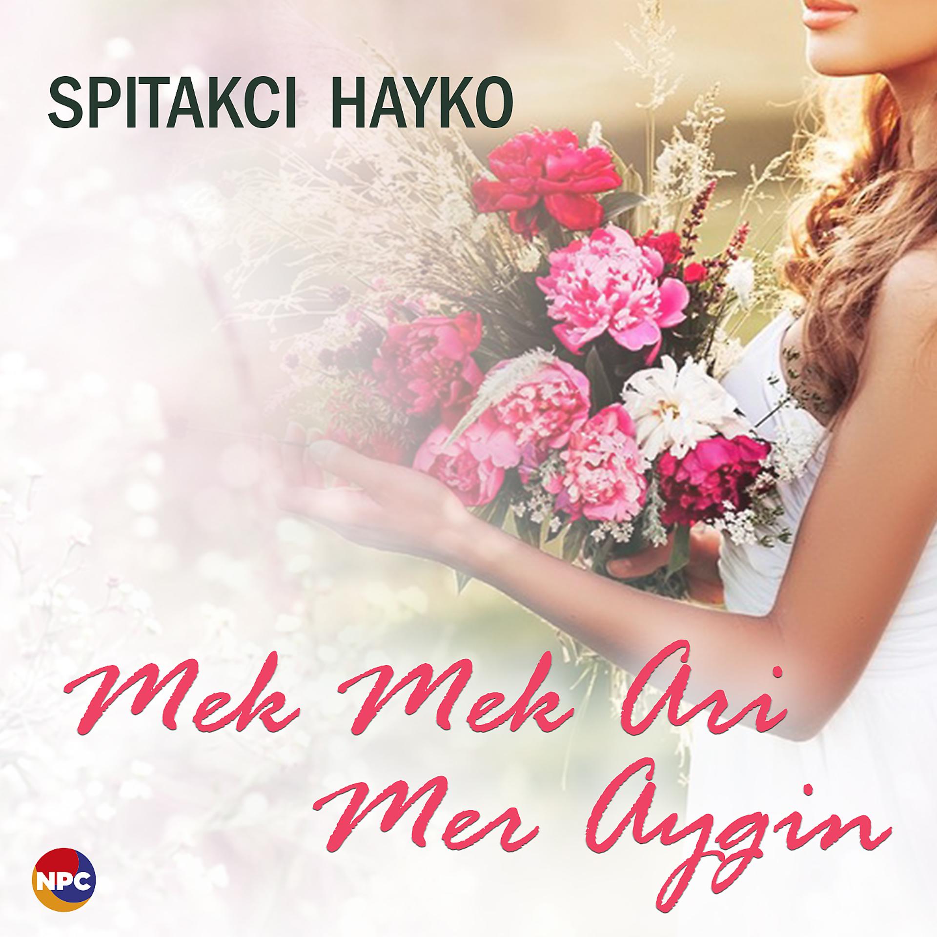 Постер альбома Mek Mek Ari Mer Aygin