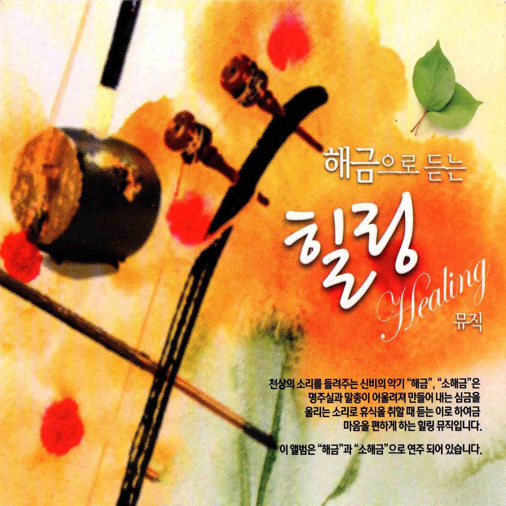 Постер альбома Listening haegeum healing music