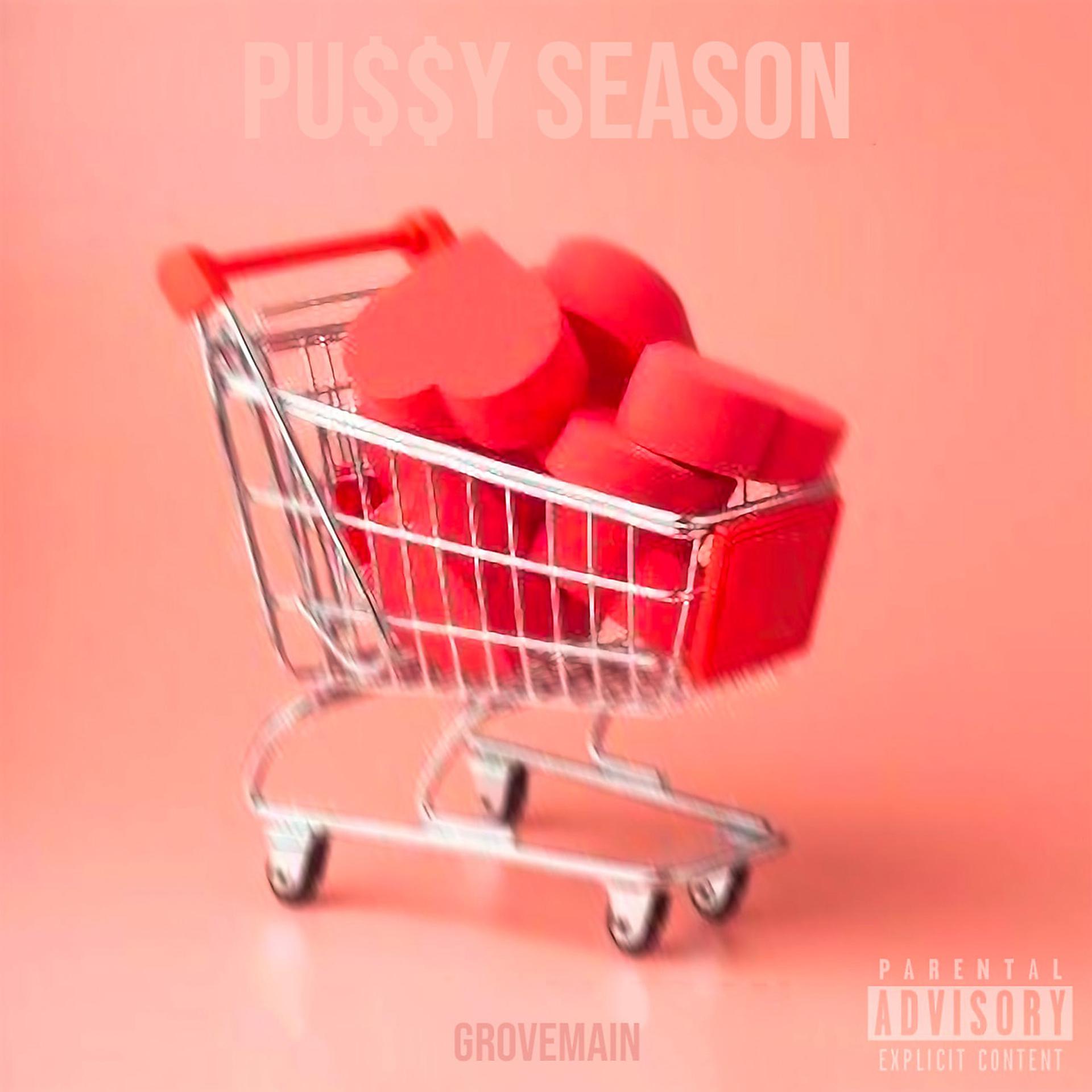 Постер альбома Pussy Season
