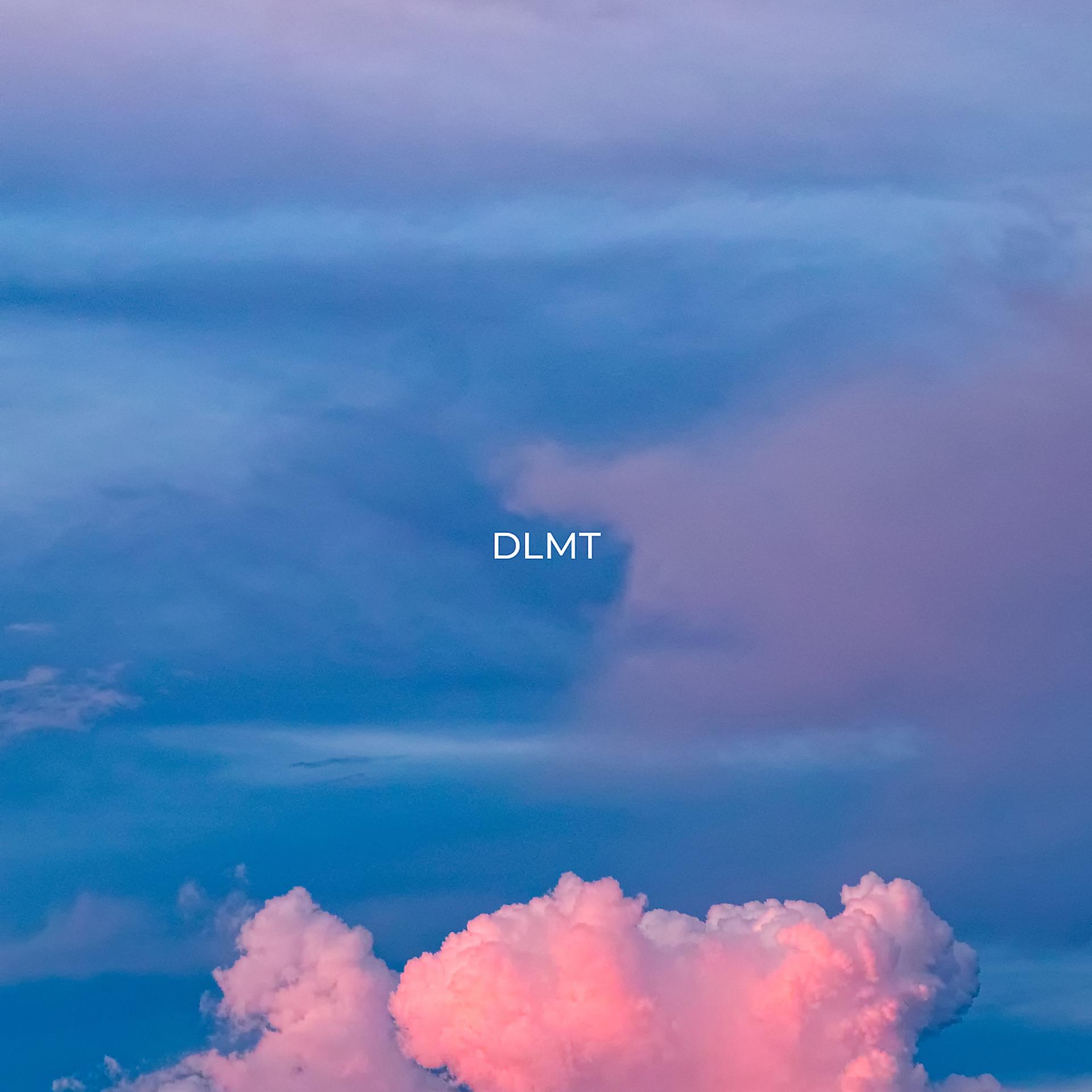 Постер альбома Dlmt