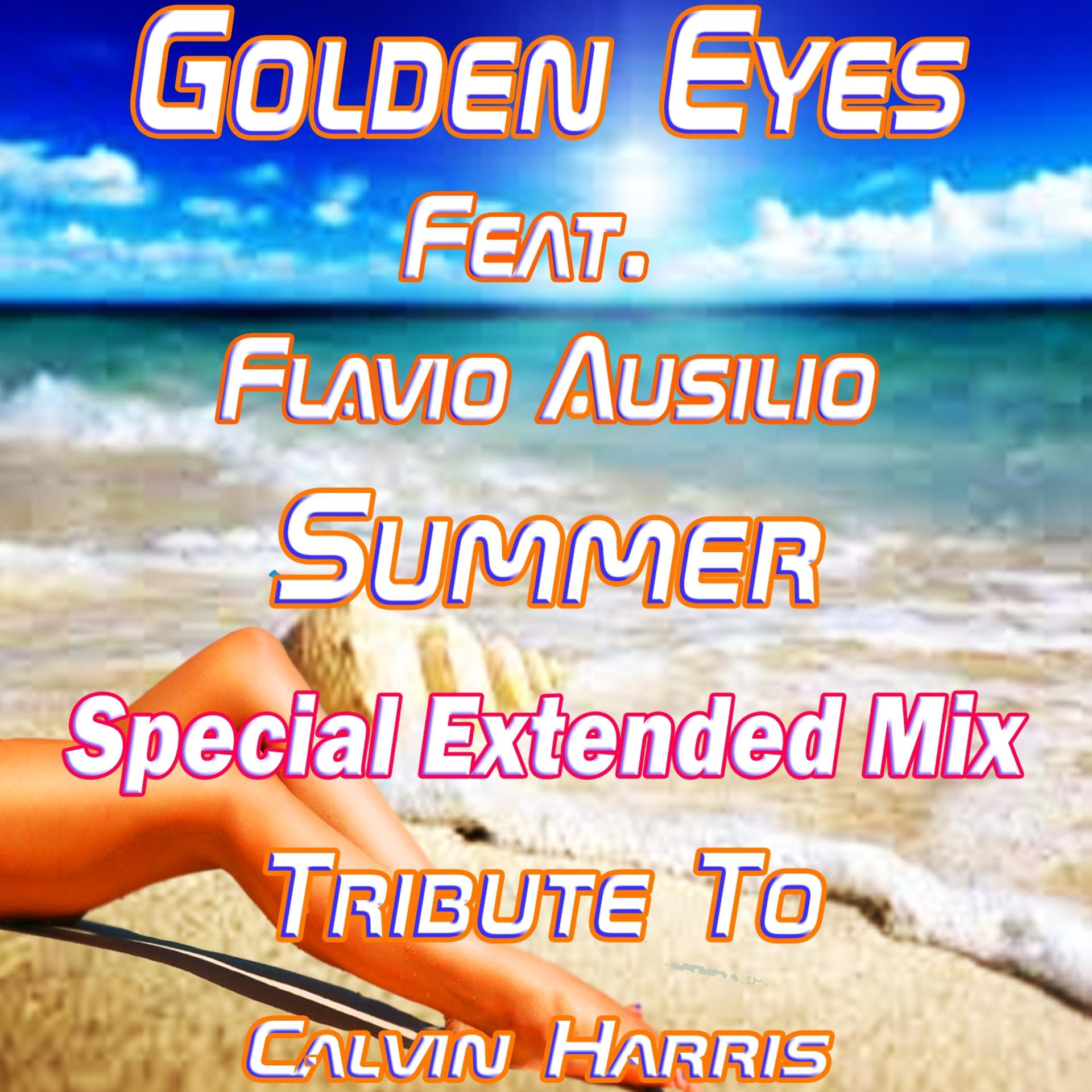 Постер альбома Summer: Tribute to Calvin Harris