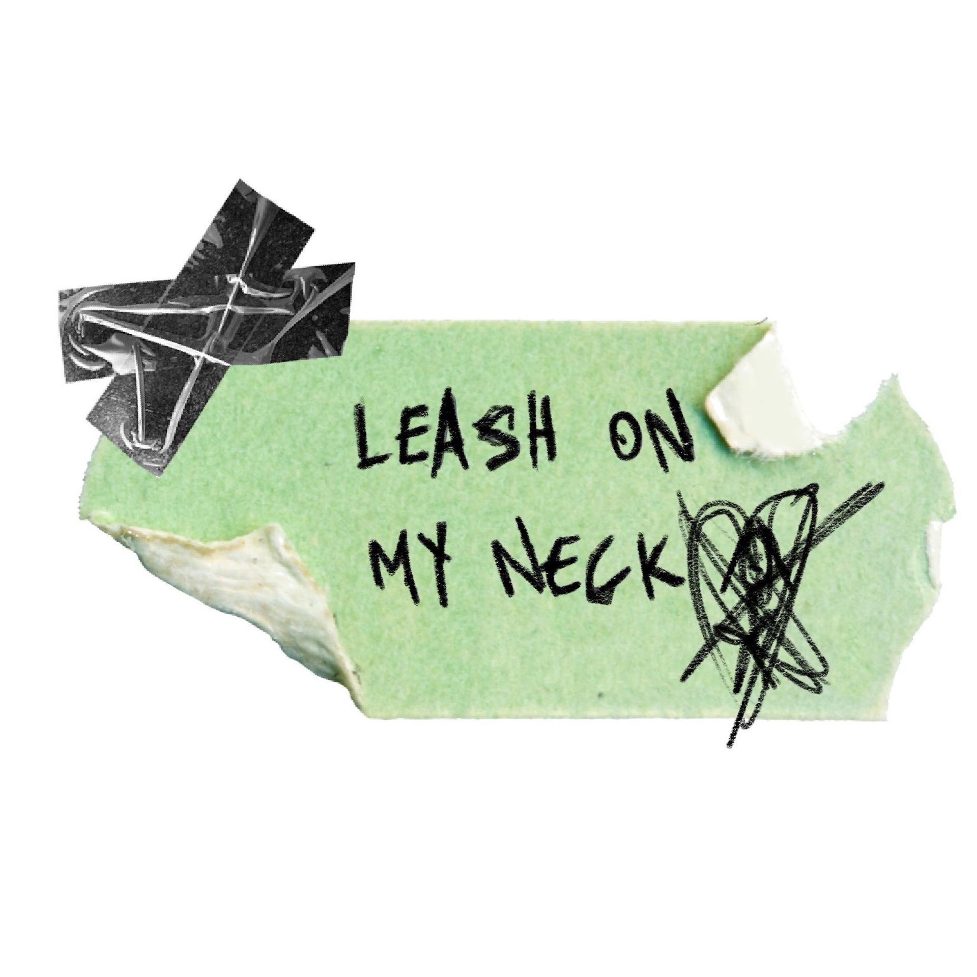 Постер альбома Leash on My Neck