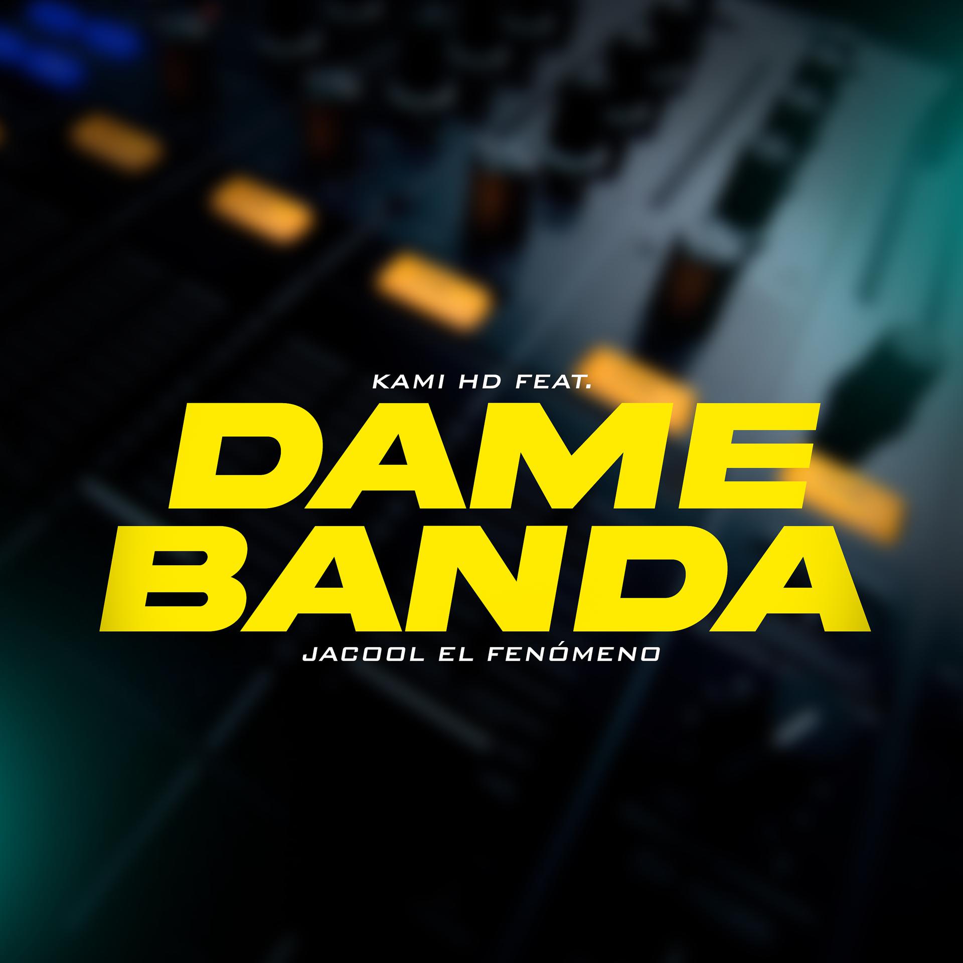 Постер альбома Dame Vanda