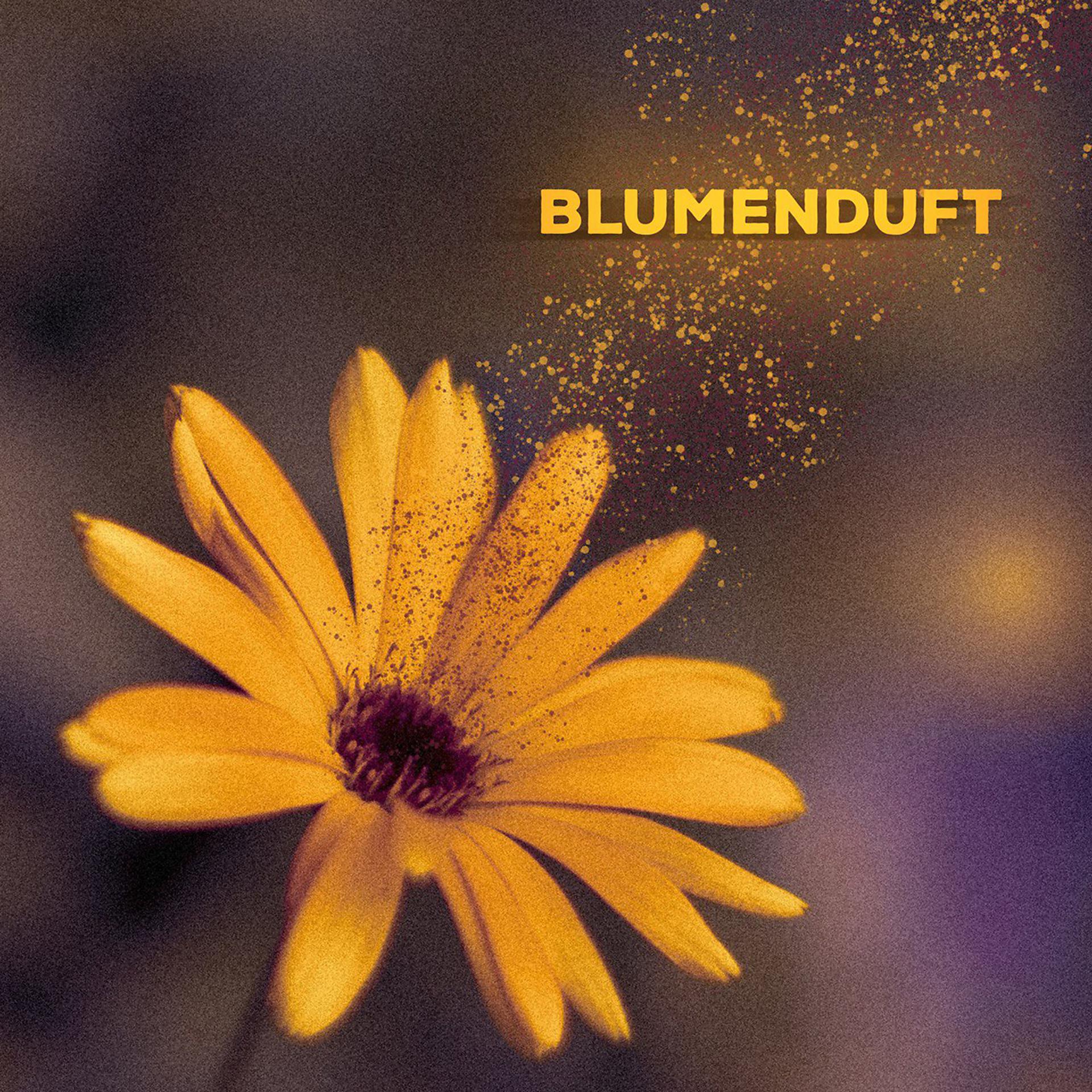 Постер альбома Blumenduft