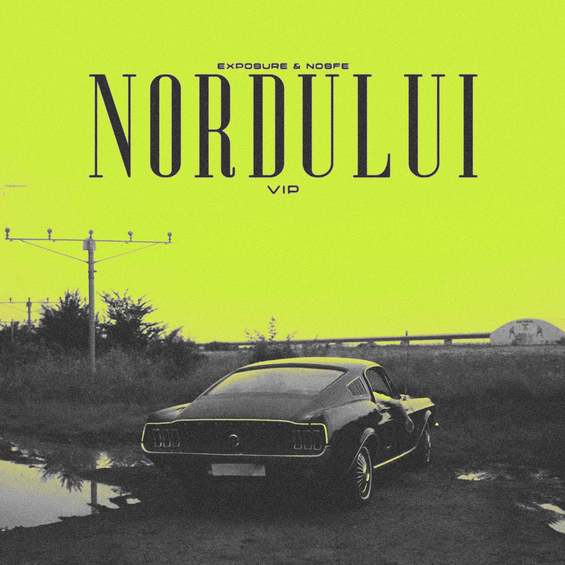 Постер альбома Nordului VIP