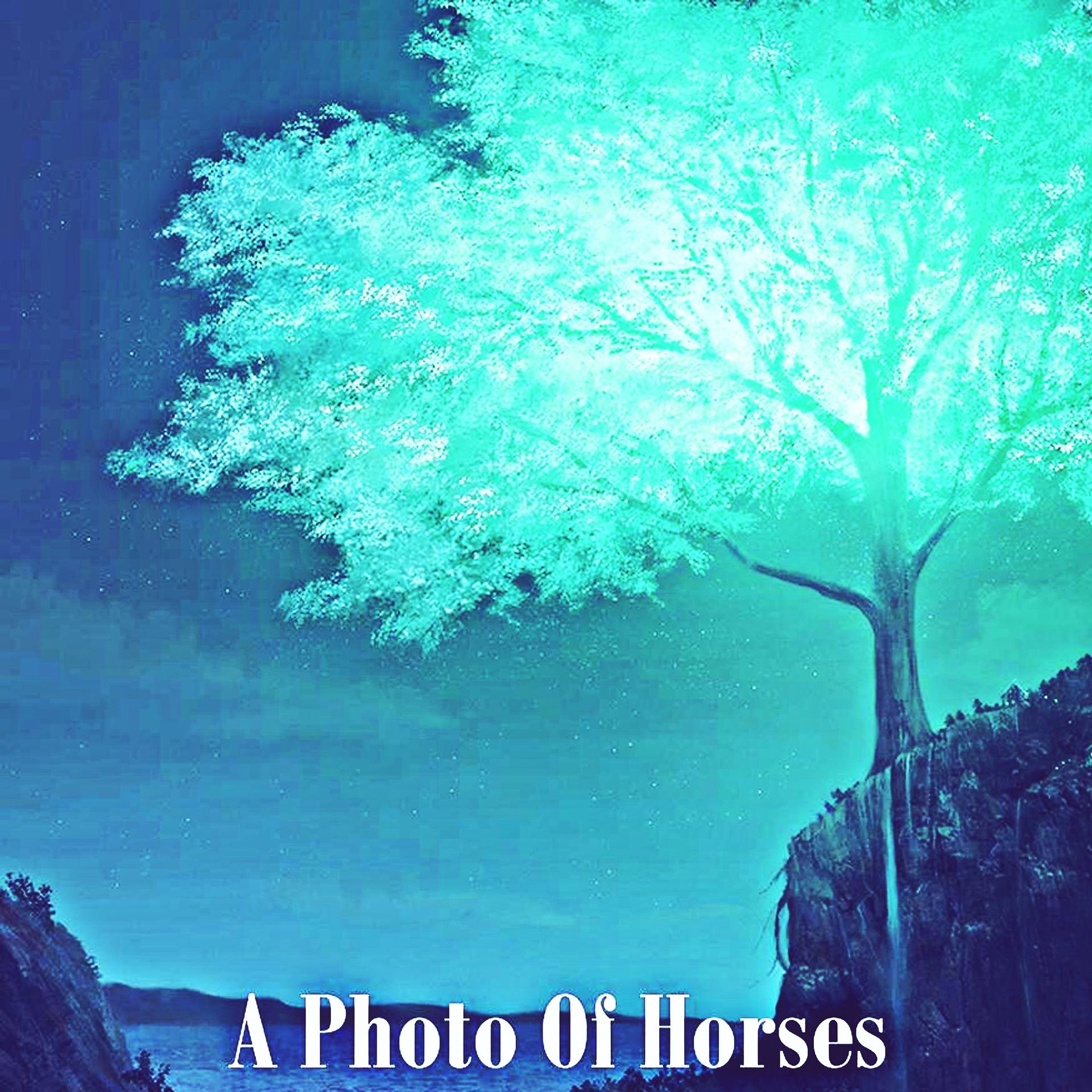 Постер альбома A Photo Of Horses
