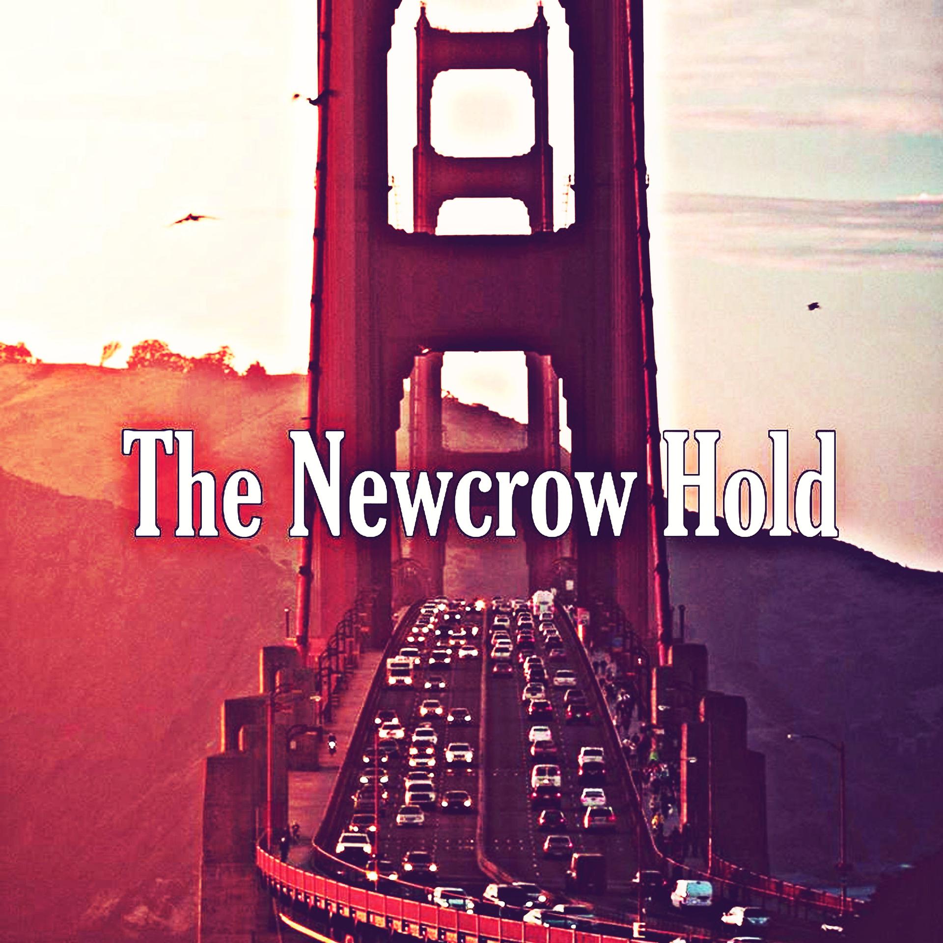 Постер альбома The Newcrow Hold