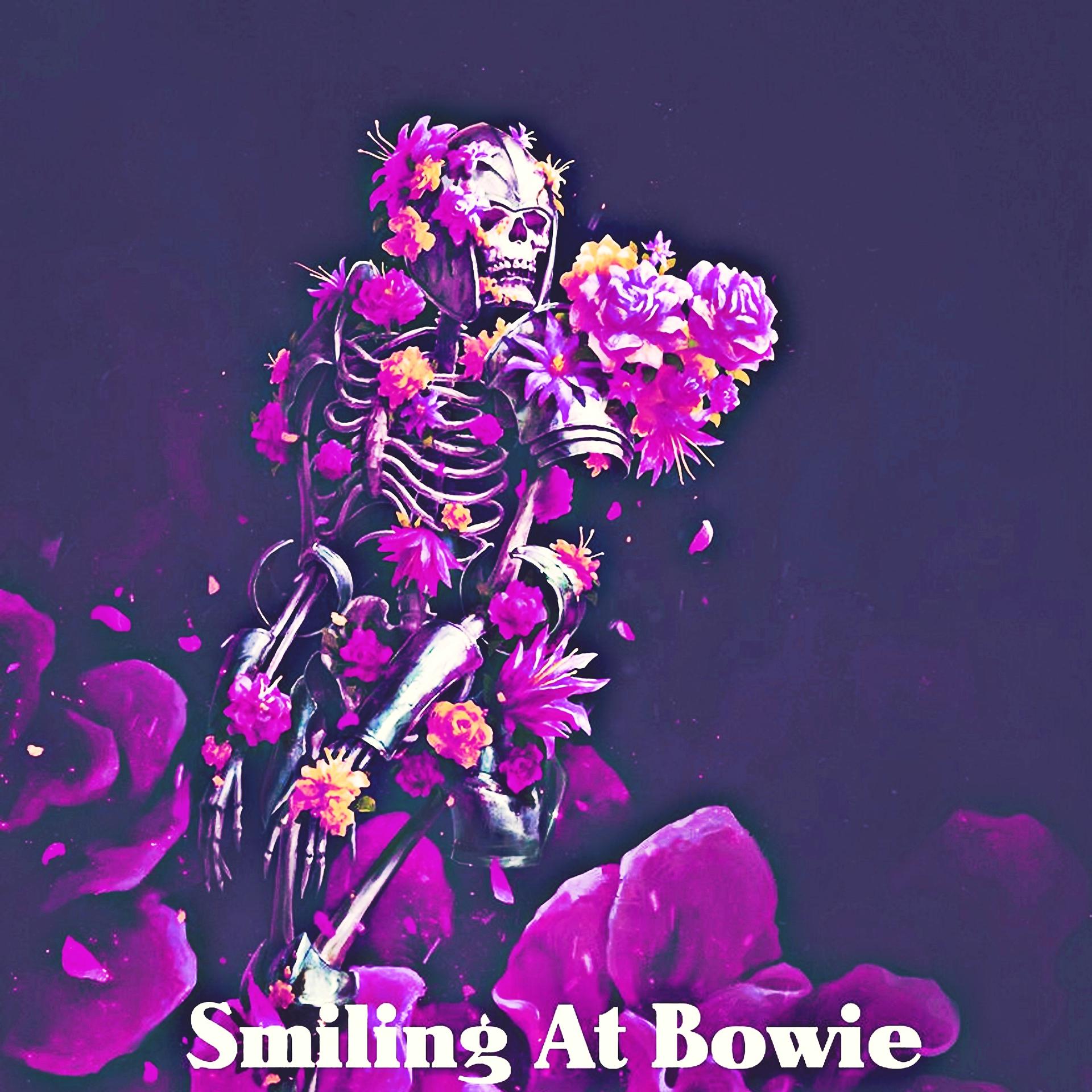 Постер альбома Smiling At Bowie