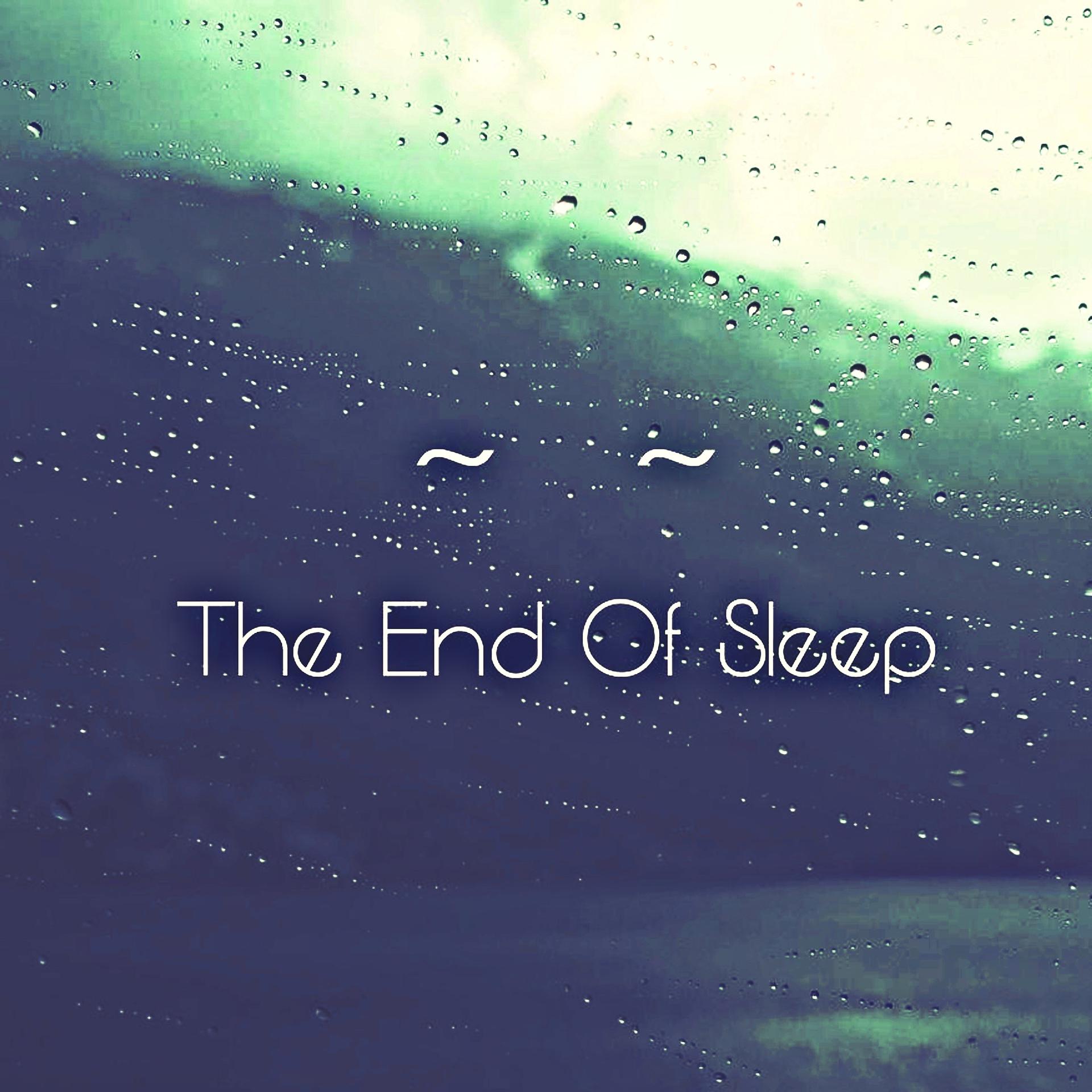 Постер альбома The End Of Sleep