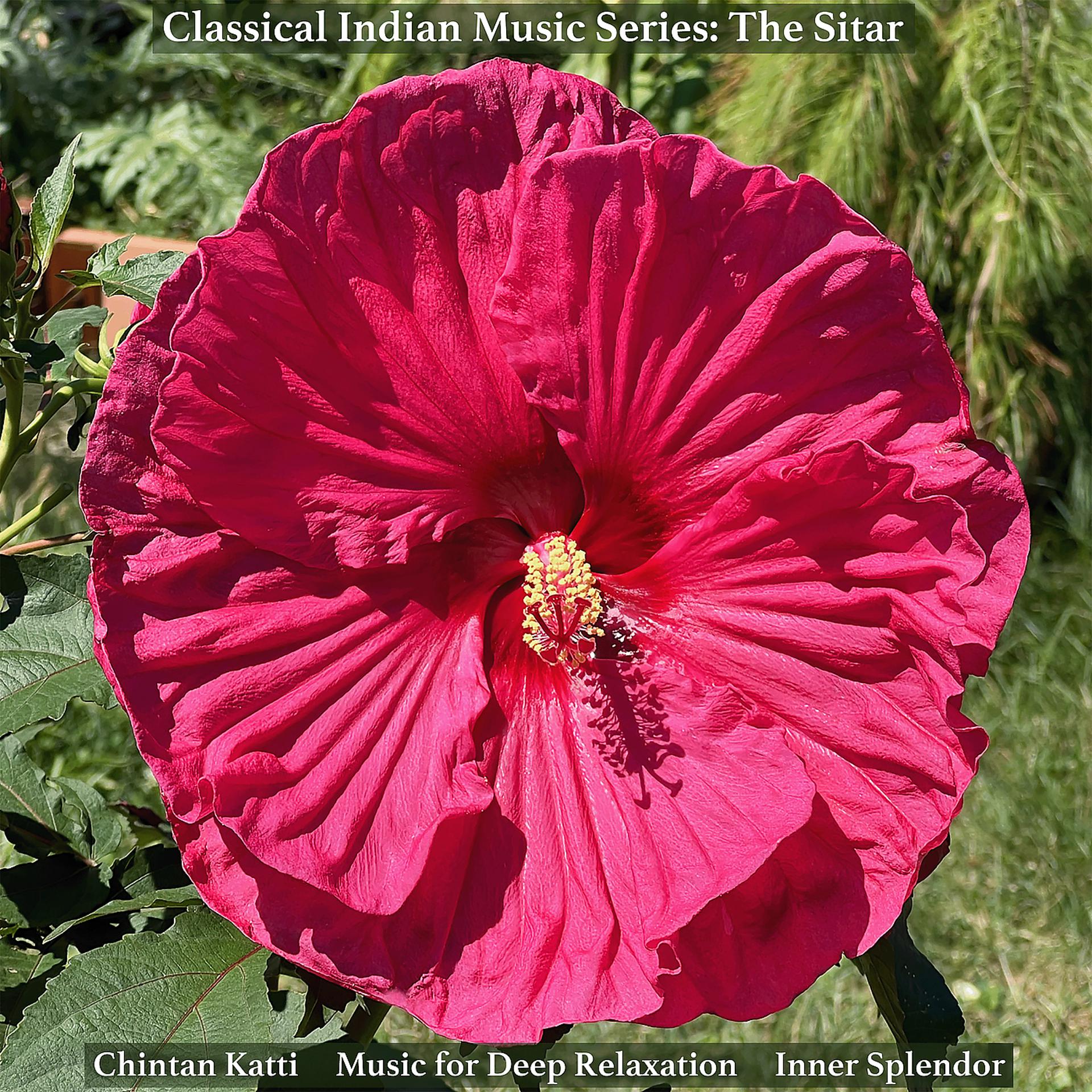 Постер альбома Classical Indian Music Series: The Sitar