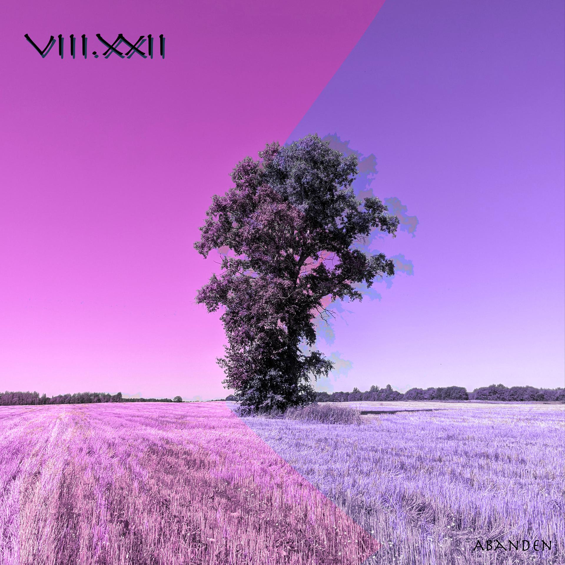 Постер альбома Viii. Xxii