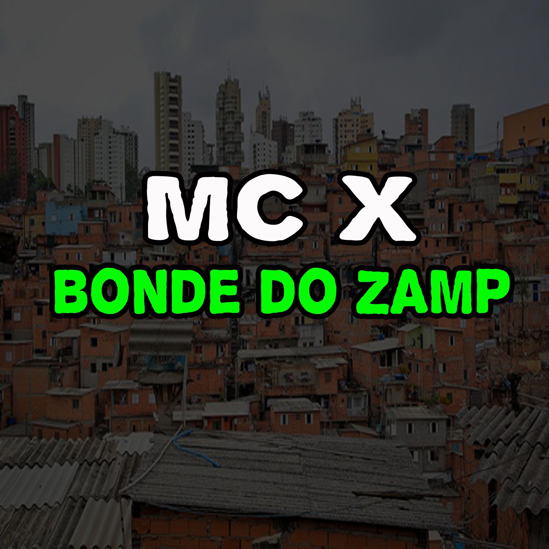 Постер альбома Bonde do Zamp