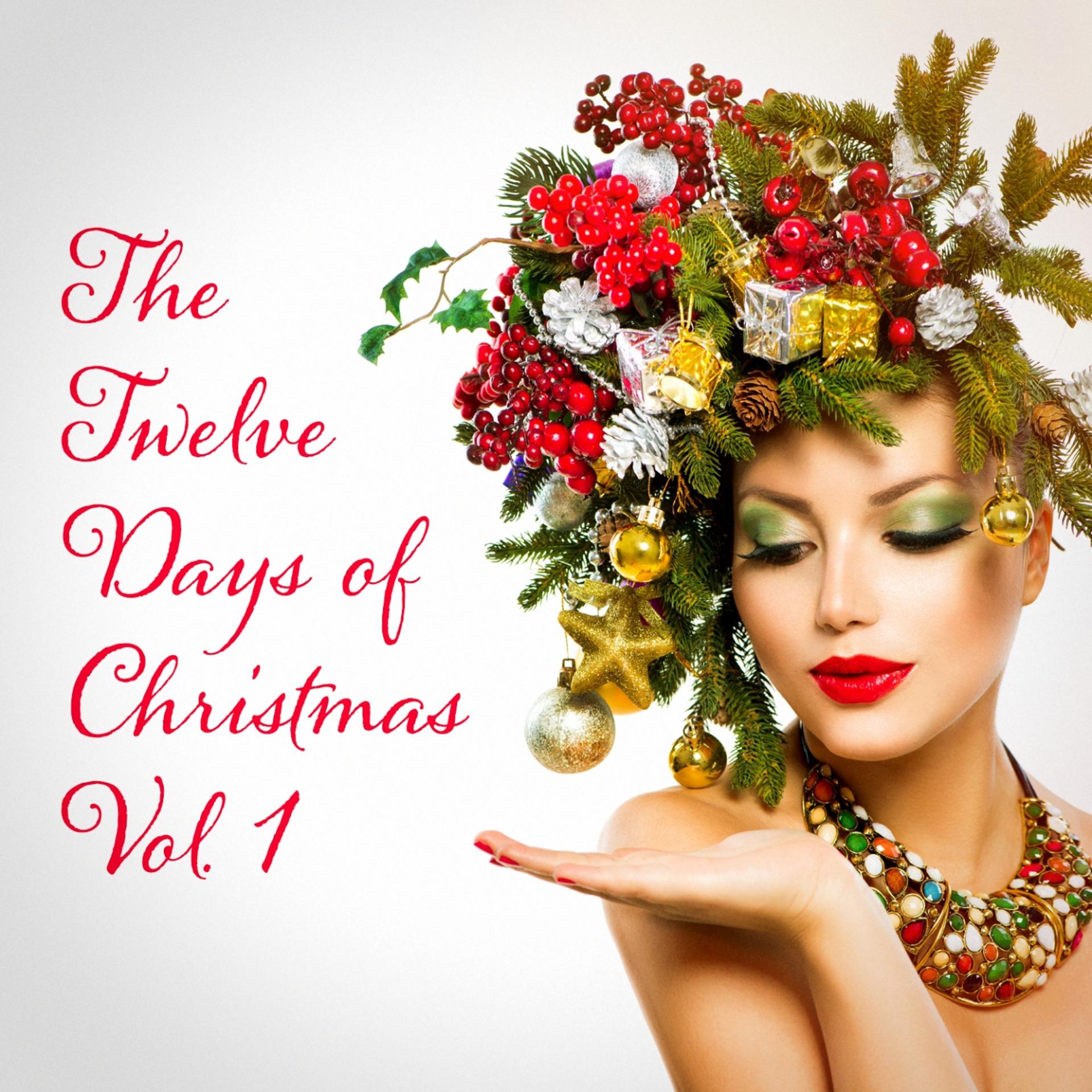 Постер альбома The Twelve Days of Christmas, Vol. 1