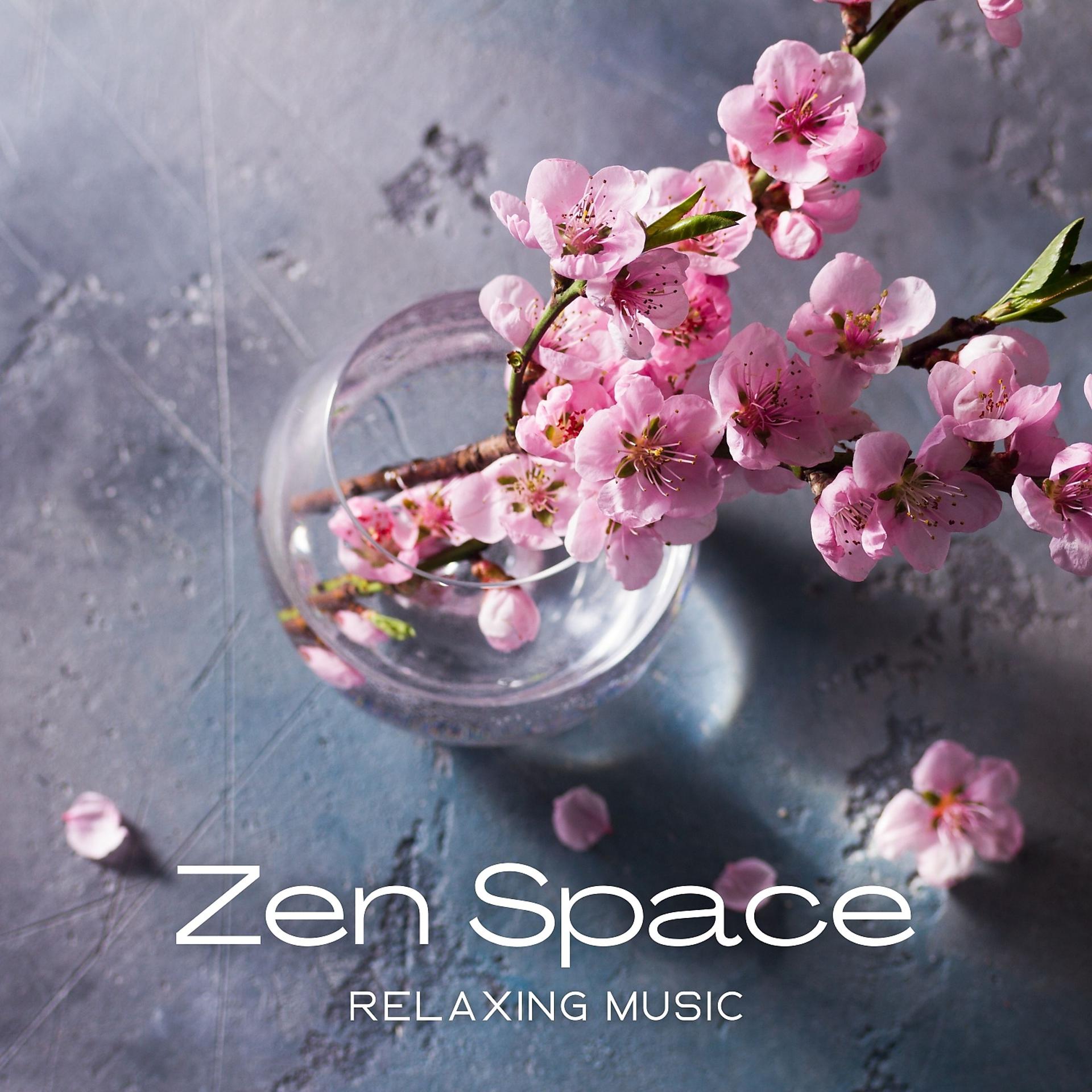 Постер альбома Zen Space