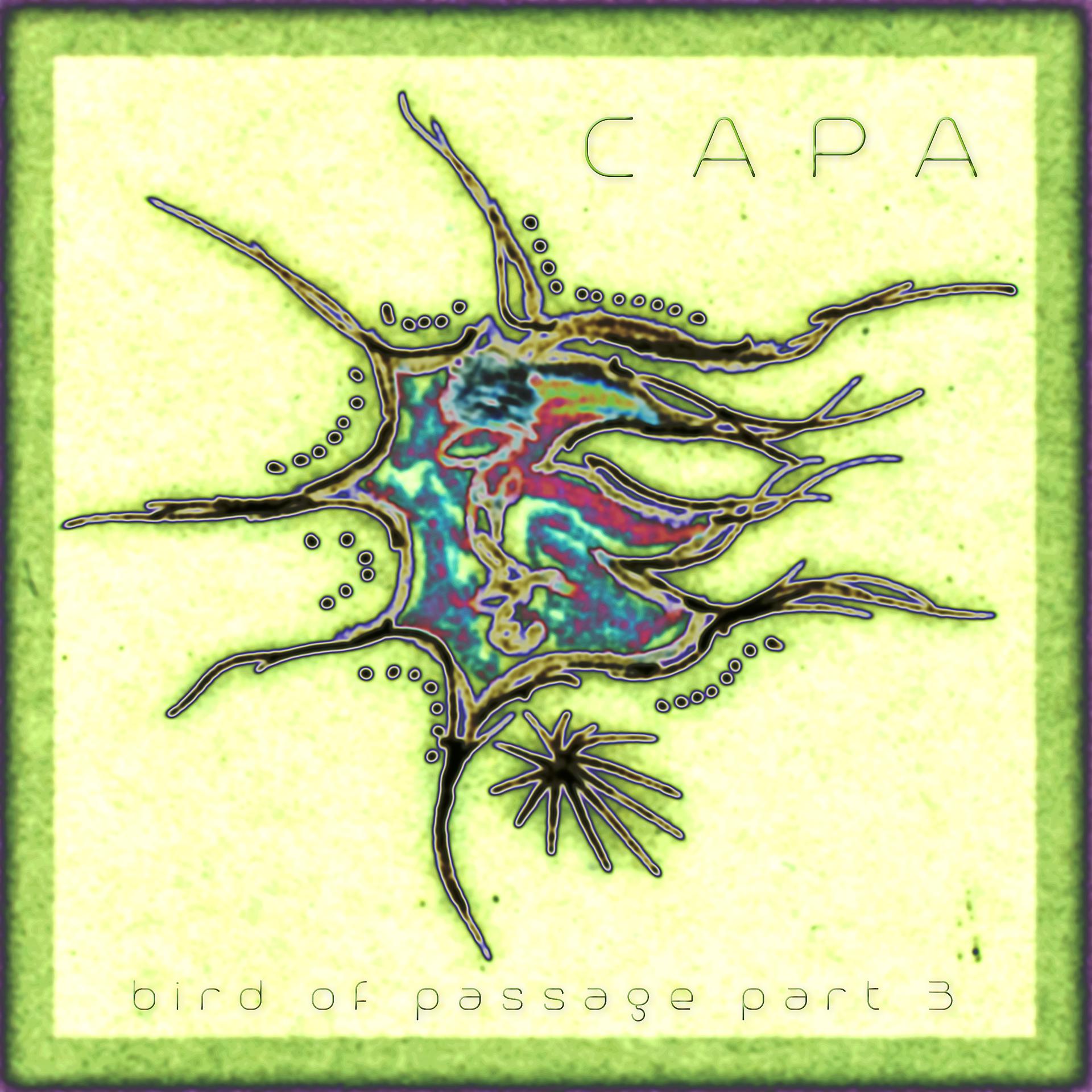Постер альбома Bird Of Passage, Pt. 3