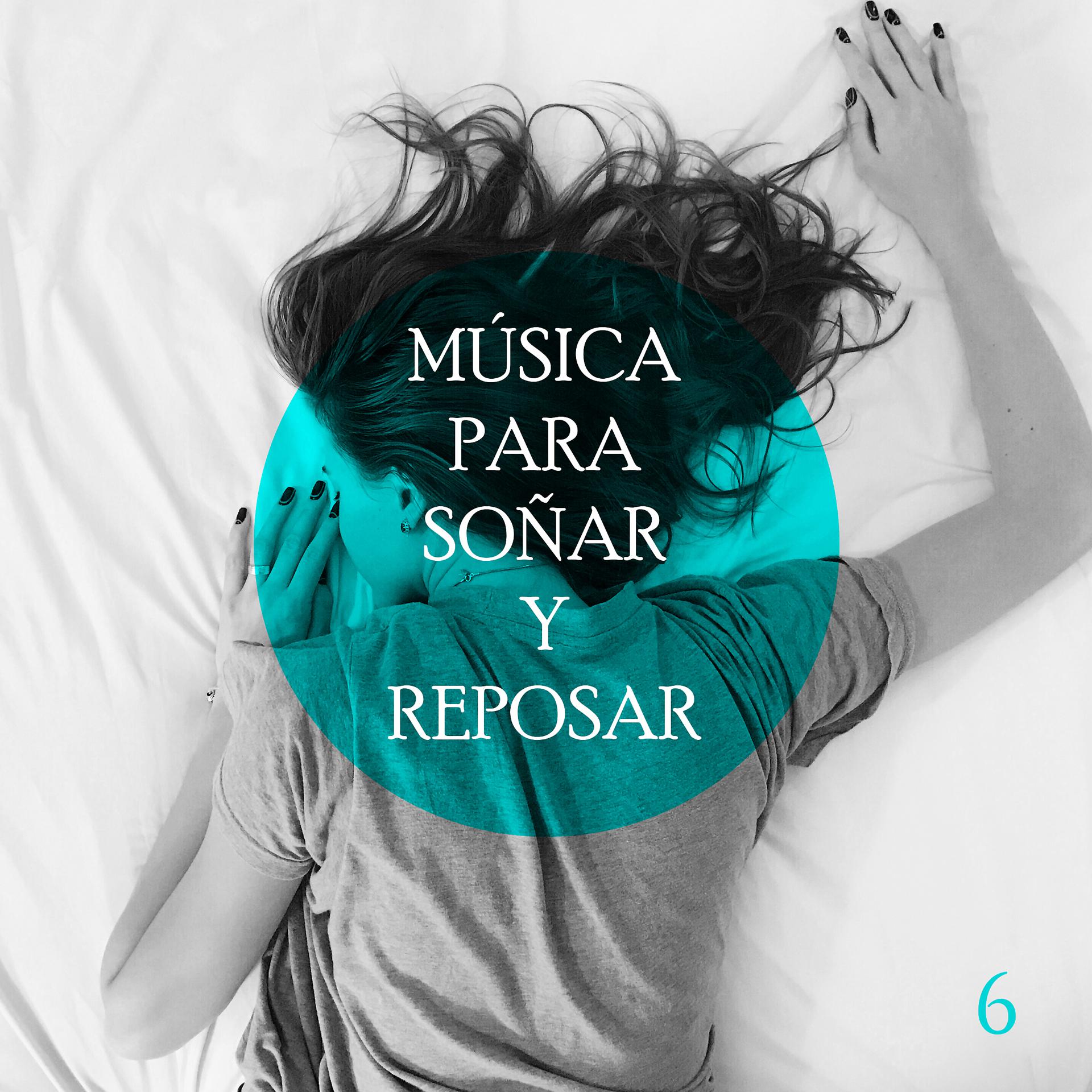 Постер альбома Musica Para Soñar Y Reposar 6