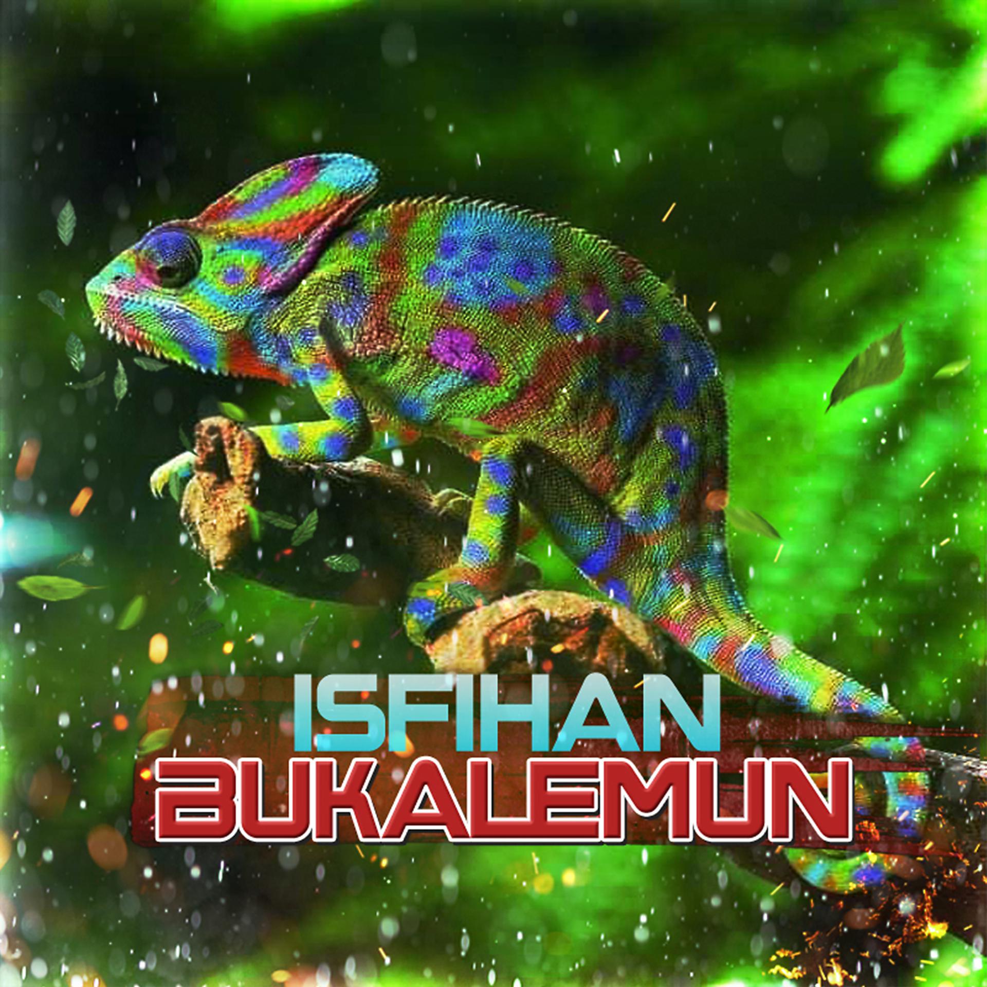 Постер альбома Bukalemun