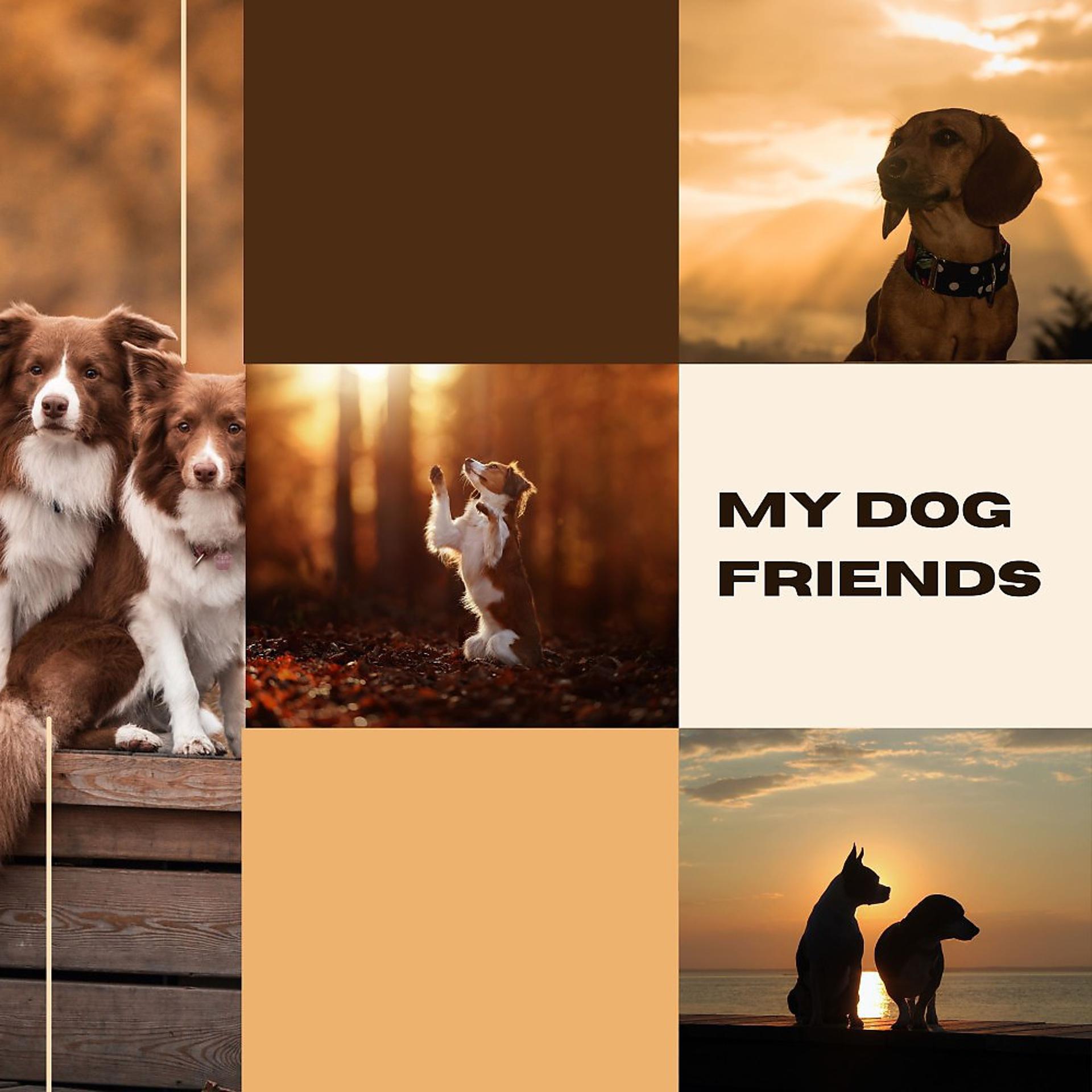 Постер альбома My Dog Friends