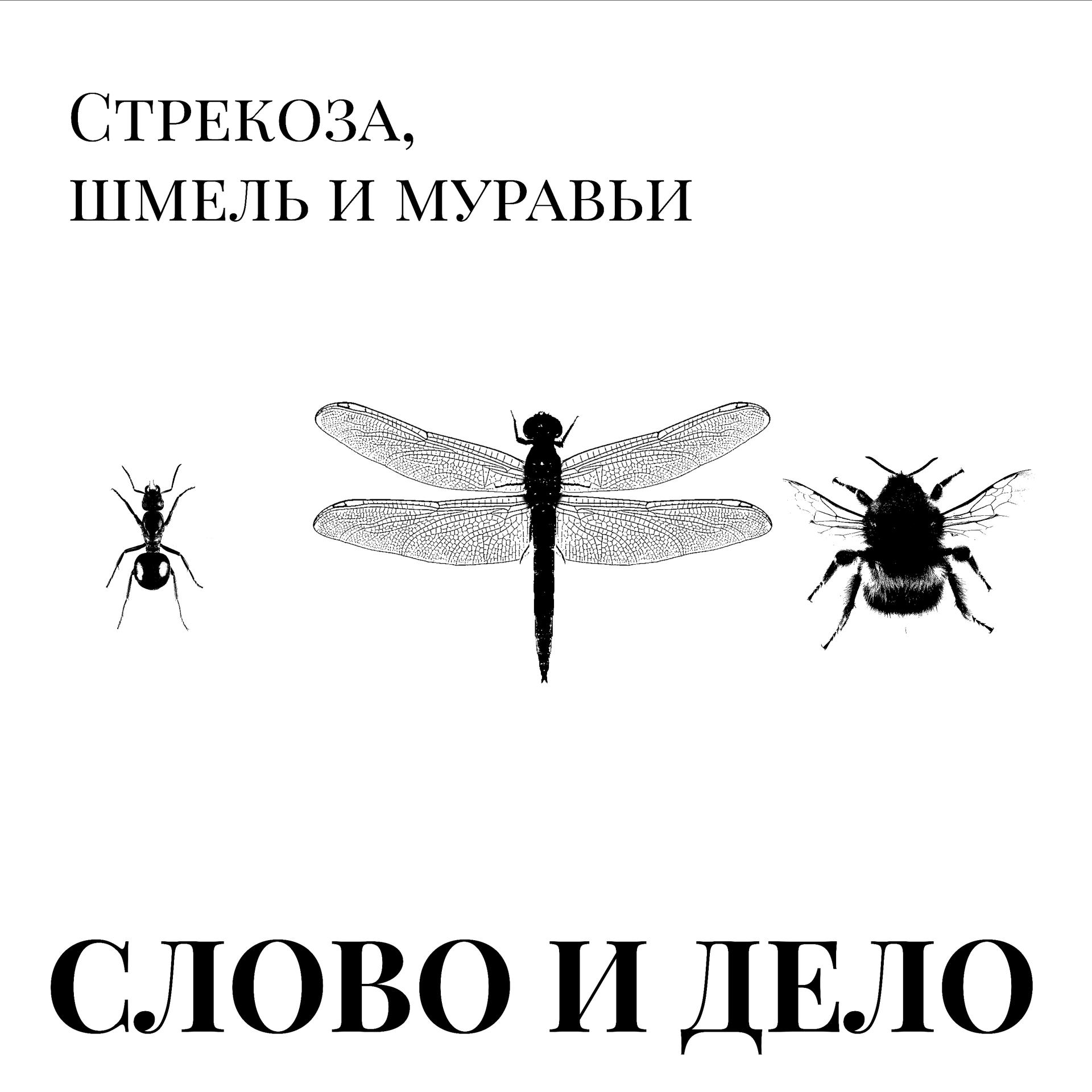 Постер альбома Стрекоза, шмель и муравьи