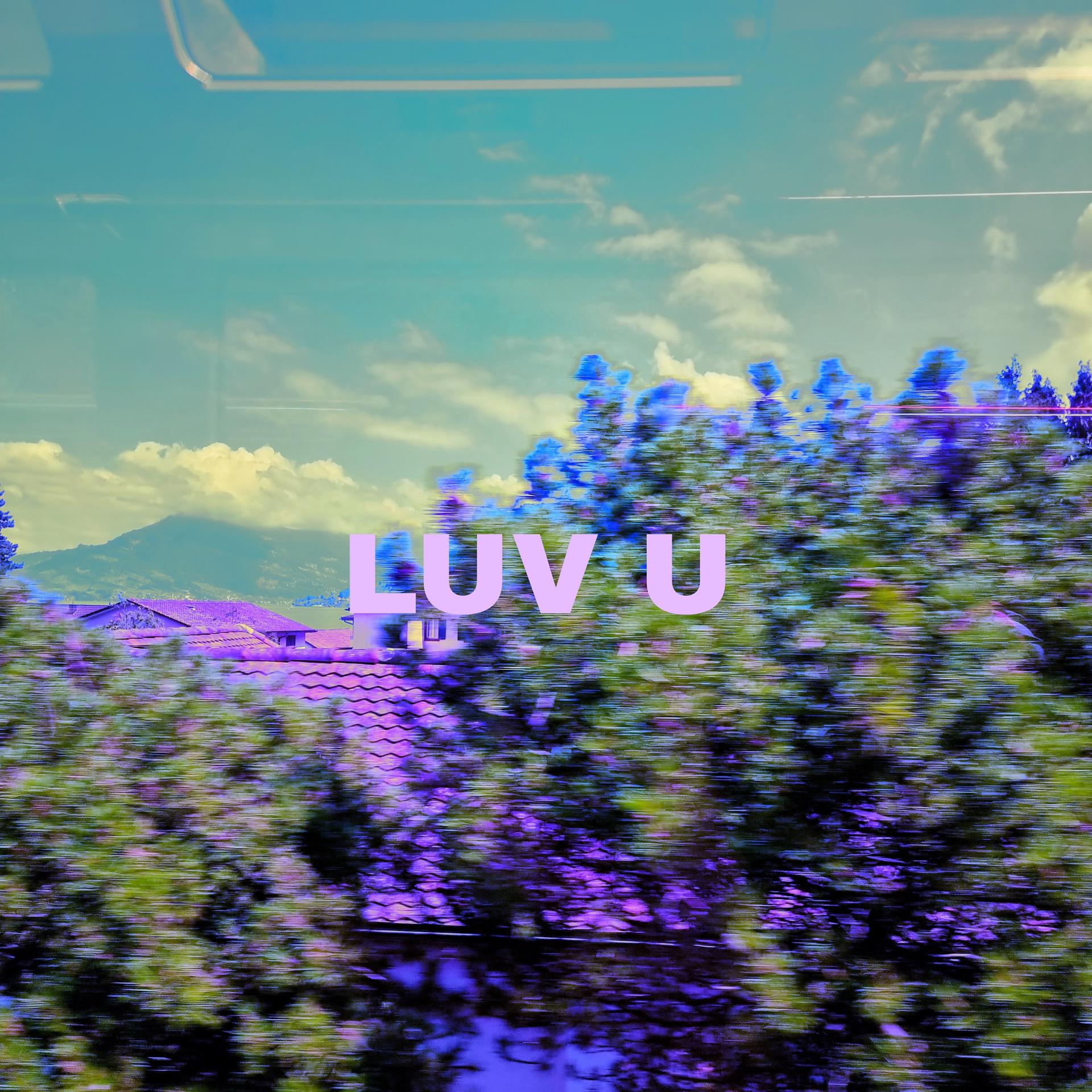 Постер альбома Luv U