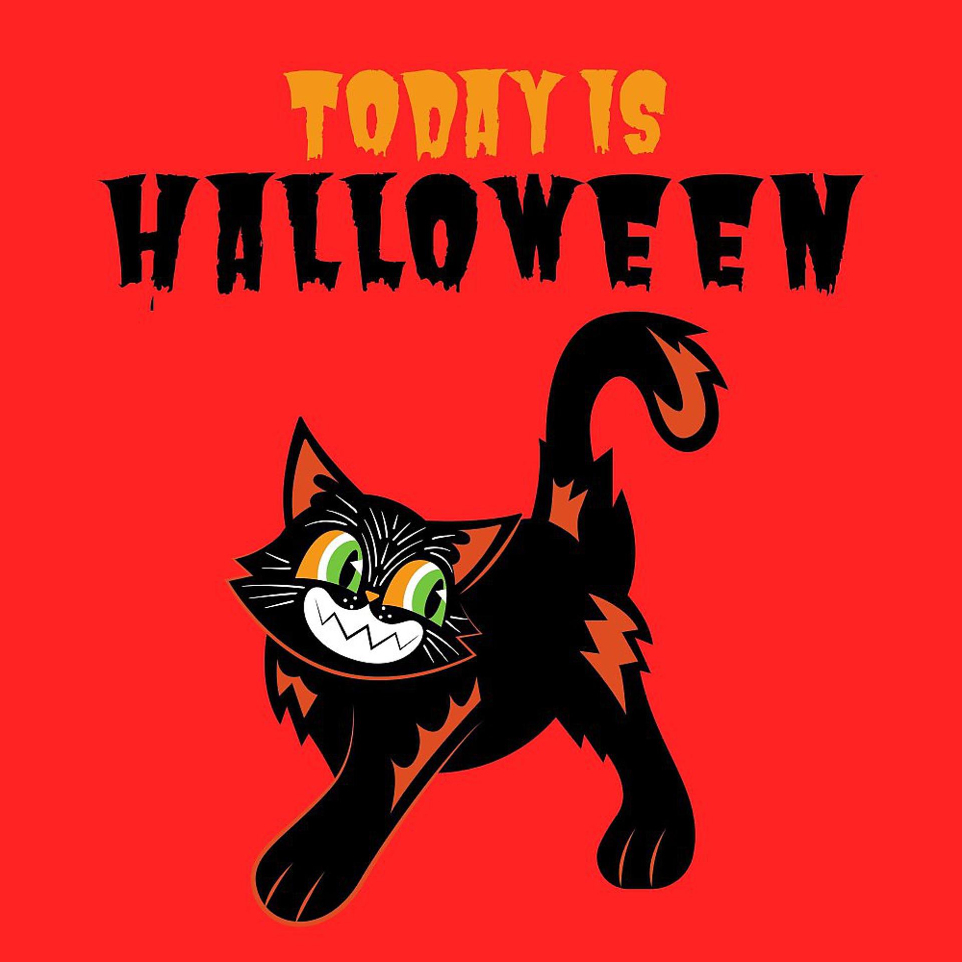 Постер альбома Today Is Halloween