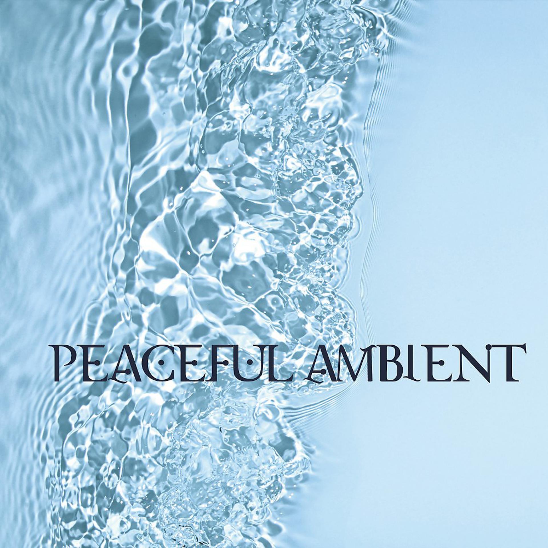 Постер альбома Peaceful Ambient