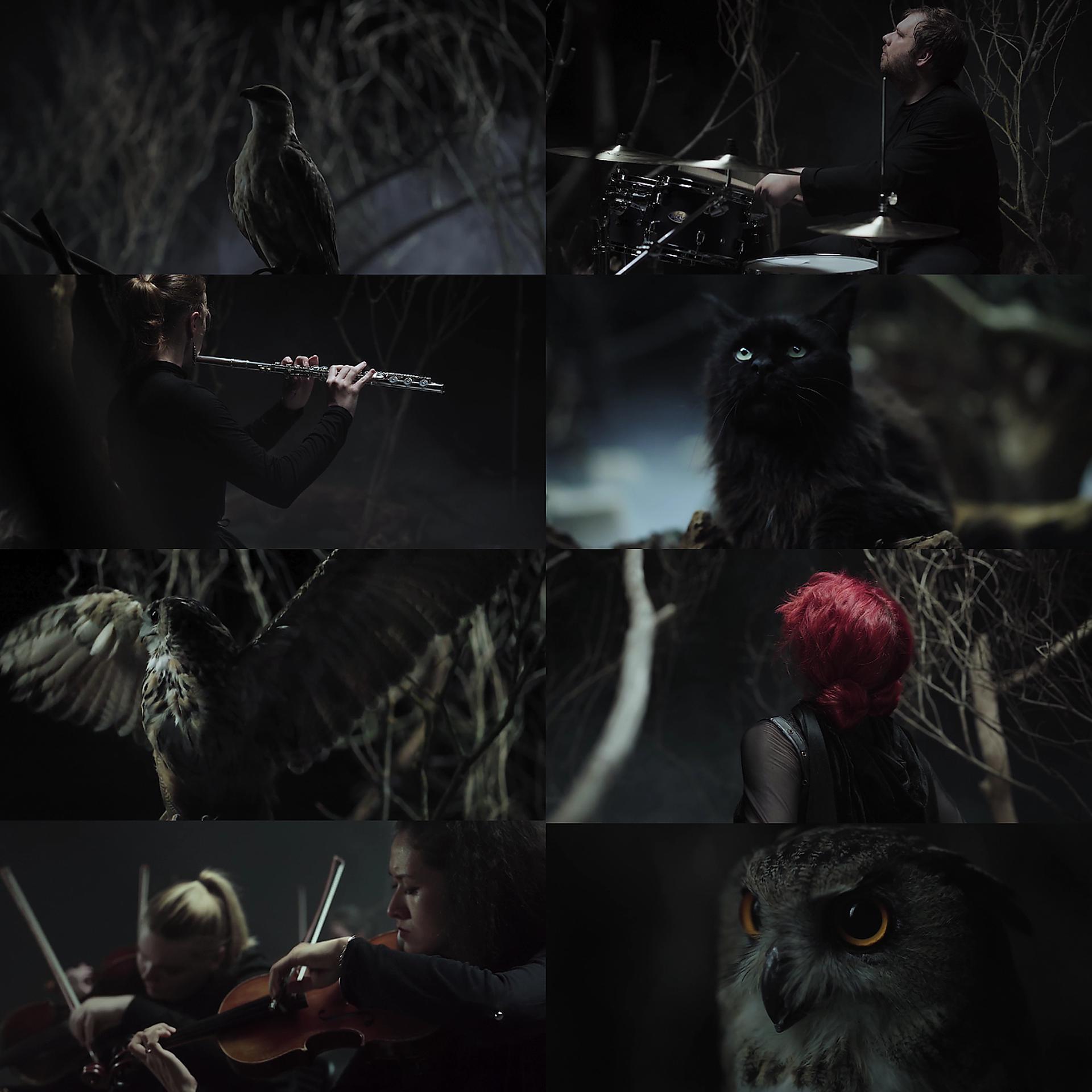 Постер альбома Hunt or Be Hunted Recomposed (From "the Witcher 3")