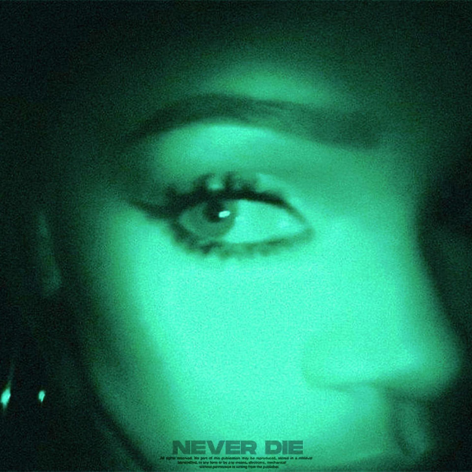 Постер альбома never die (Remixes)
