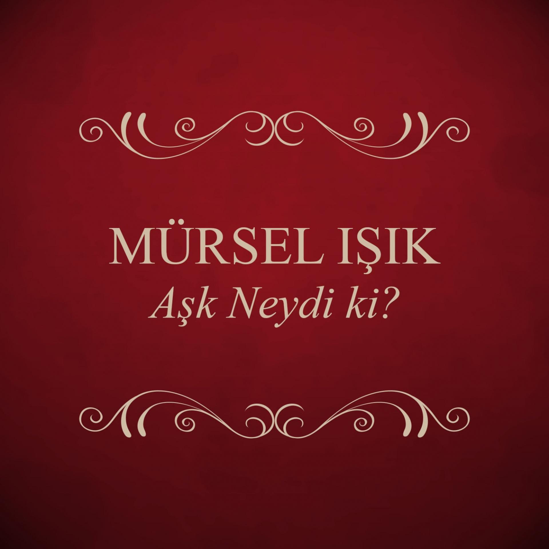 Постер альбома Aşk Neydi Ki?